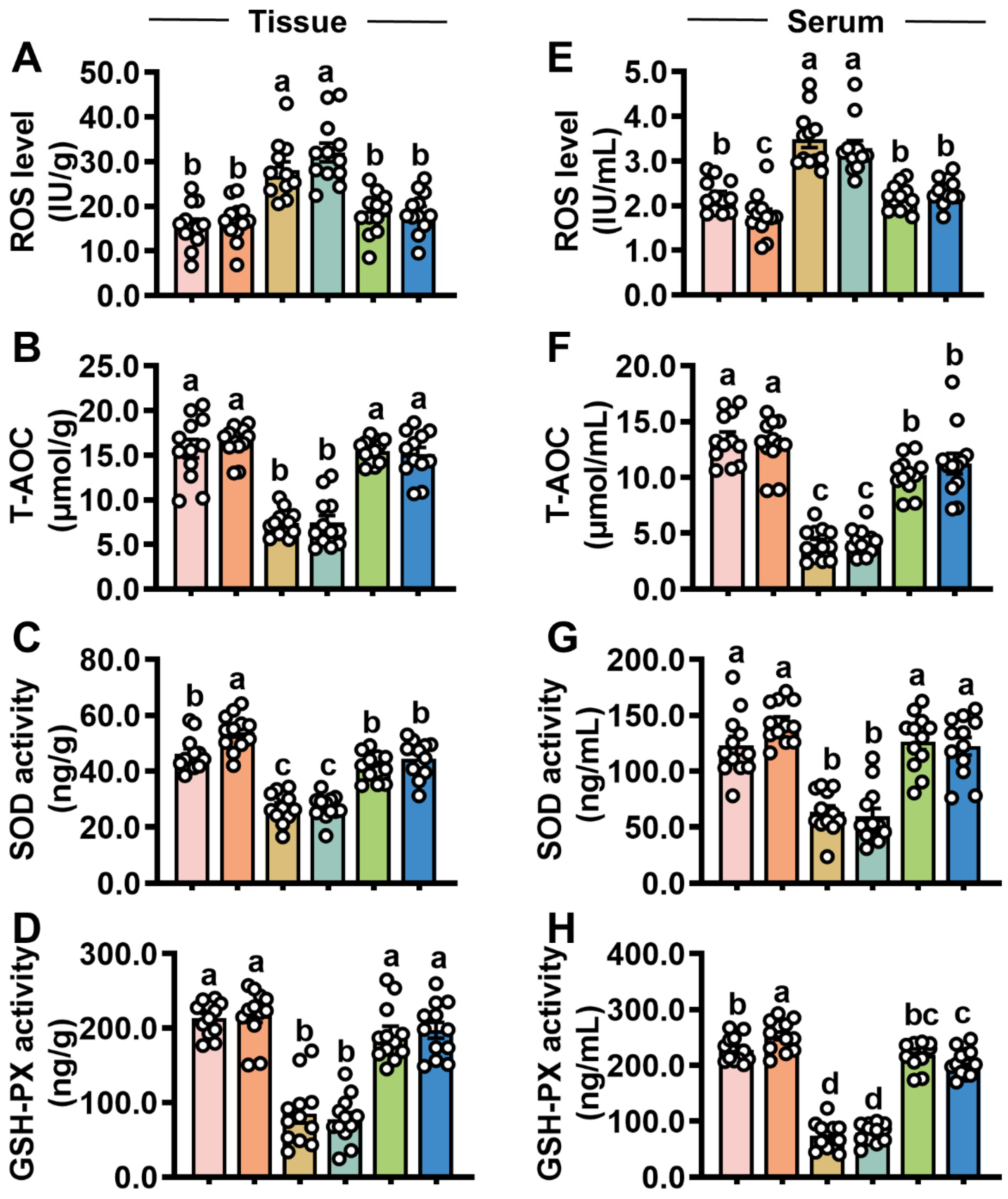 Antioxidants 14 00478 g004