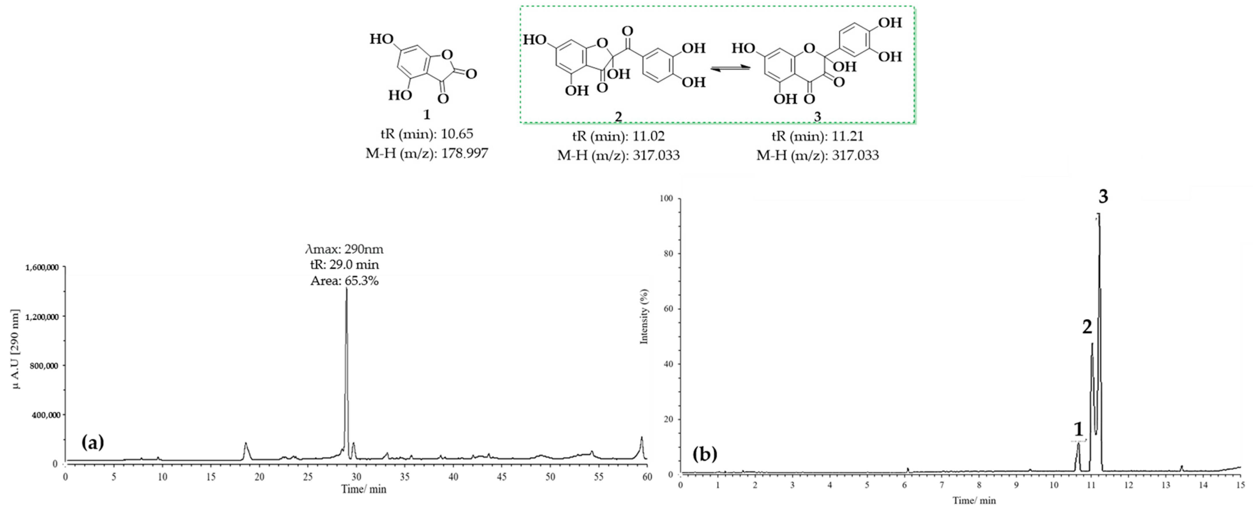 Antioxidants 14 00479 g007