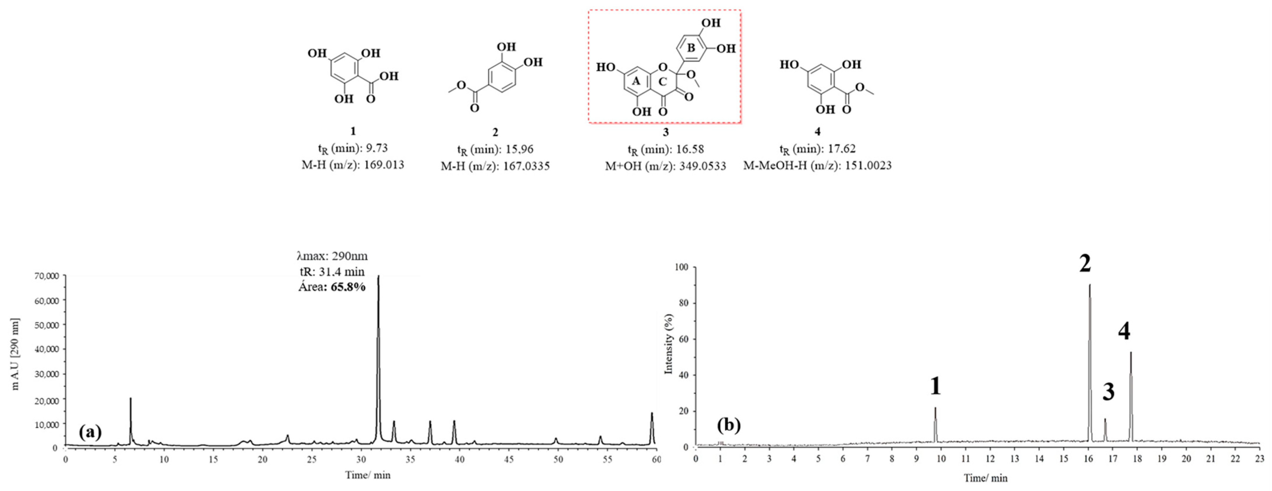 Antioxidants 14 00479 g008