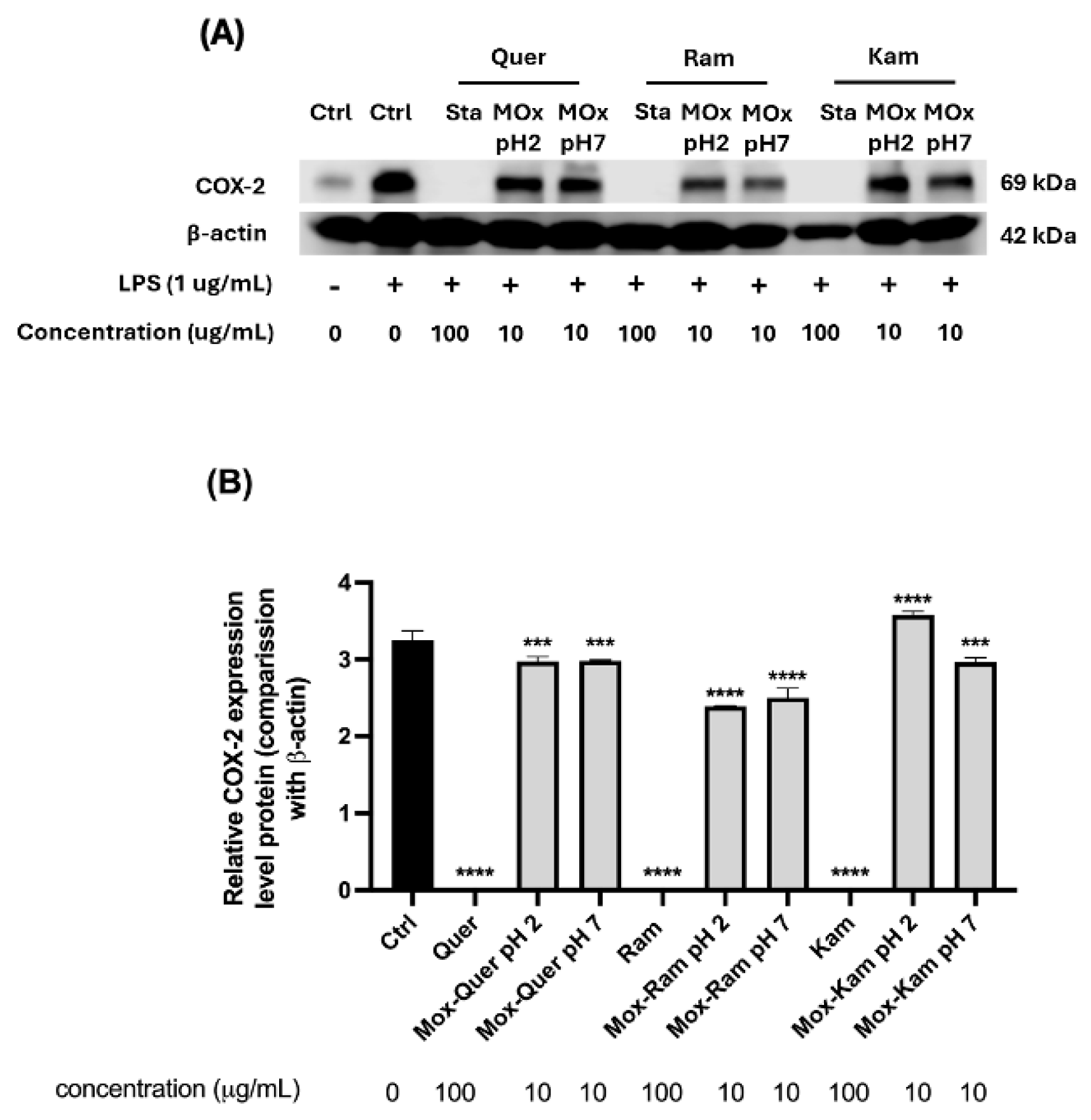 Antioxidants 14 00479 g010
