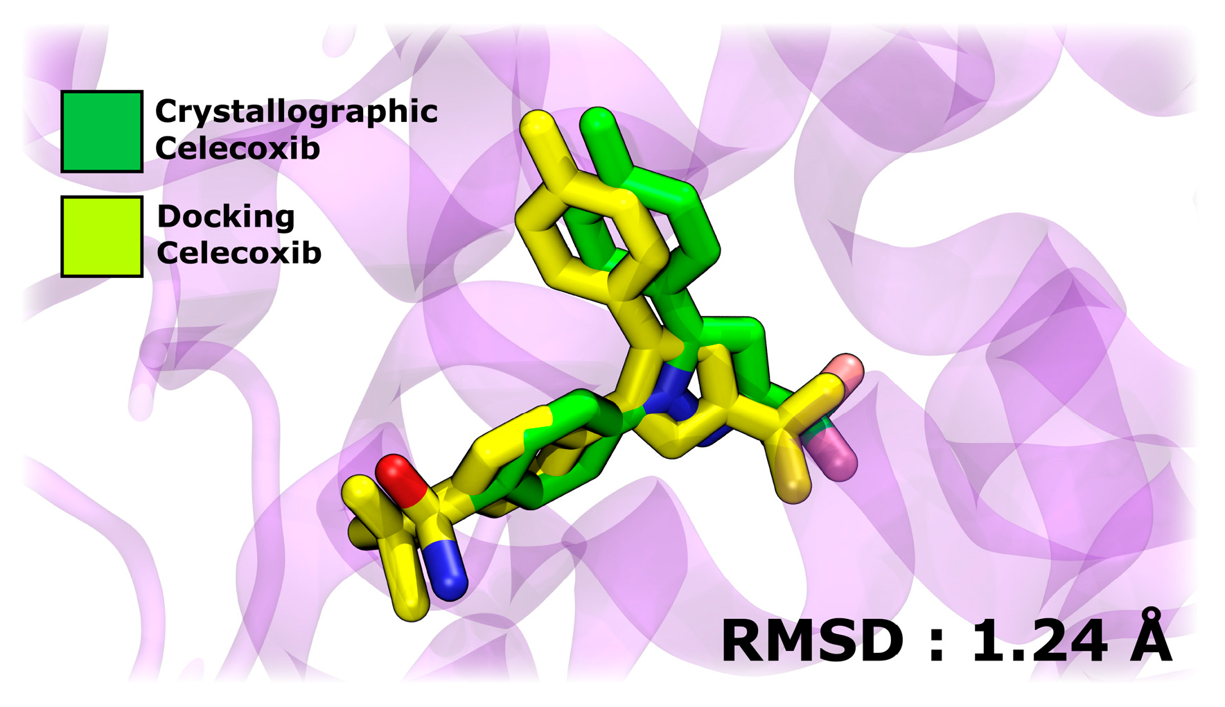 Antioxidants 14 00479 g011