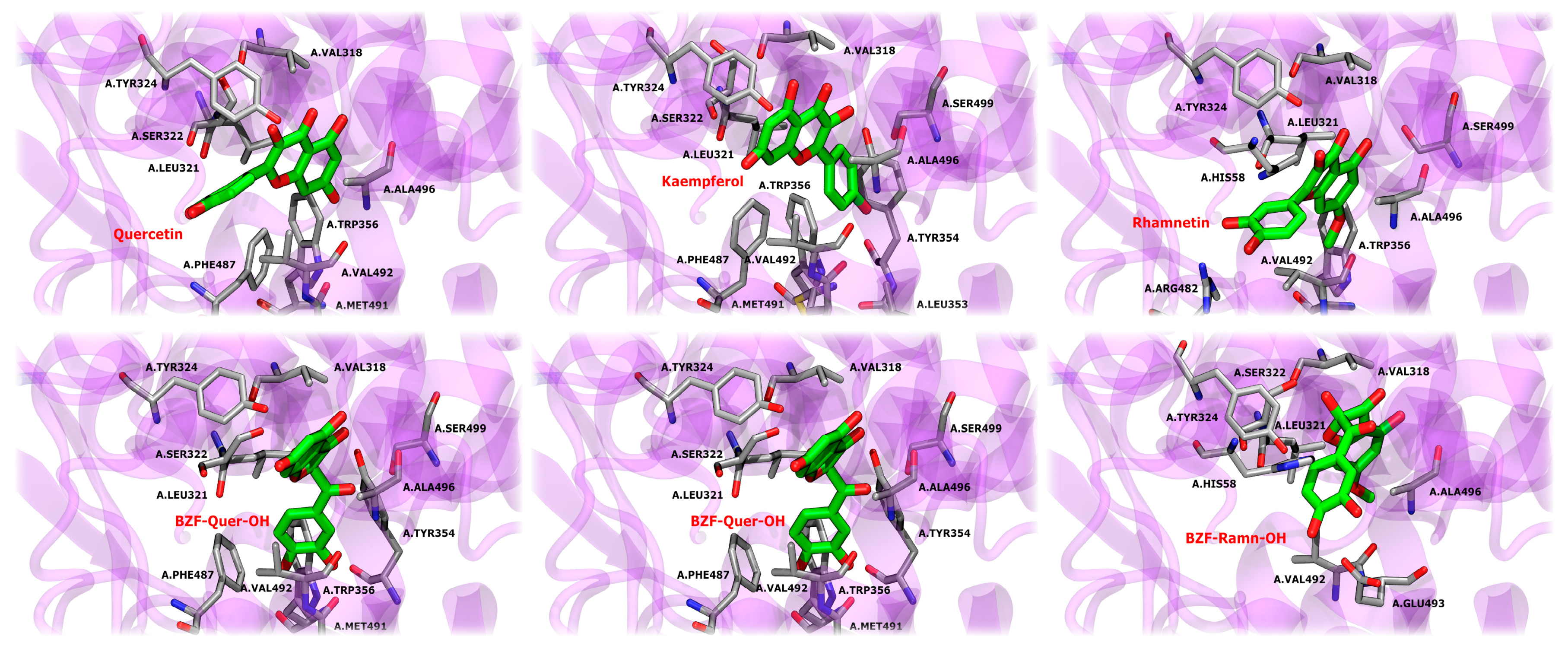 Antioxidants 14 00479 g014