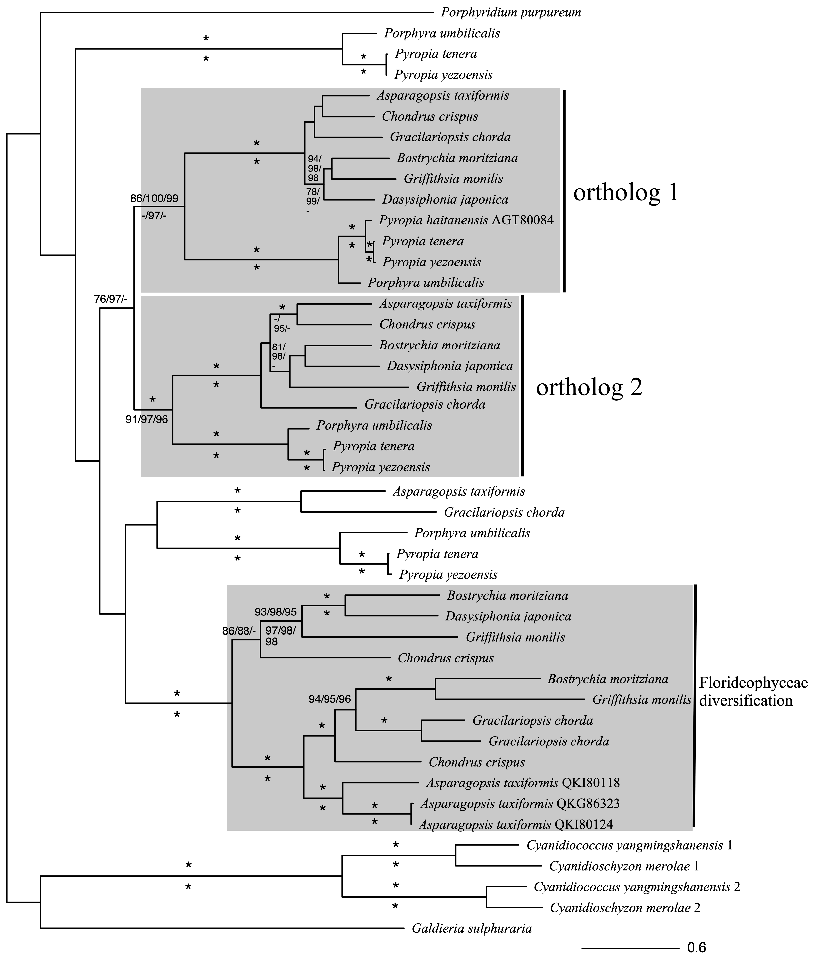 Antioxidants 14 00480 g001