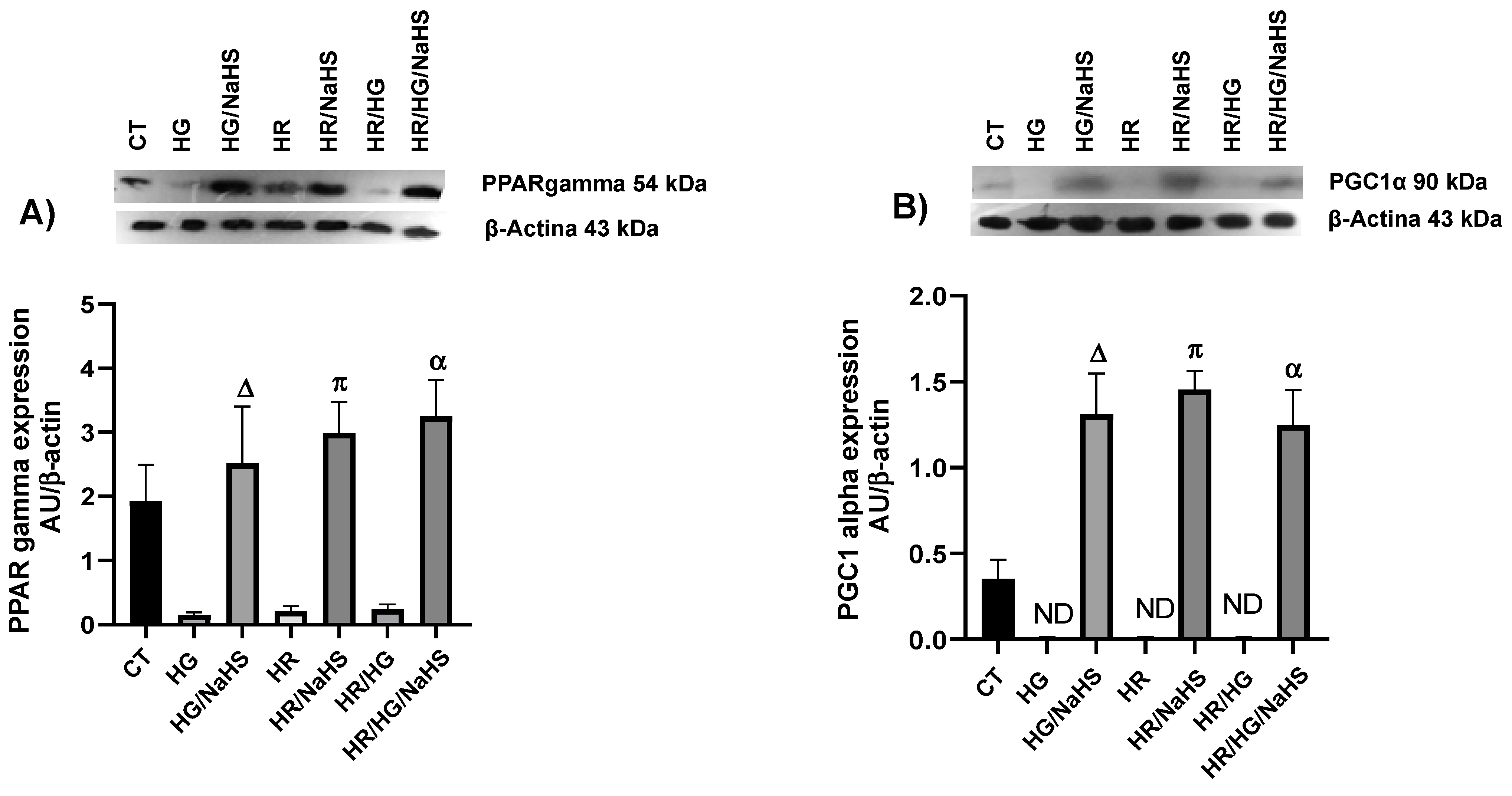 Antioxidants 14 00482 g008a