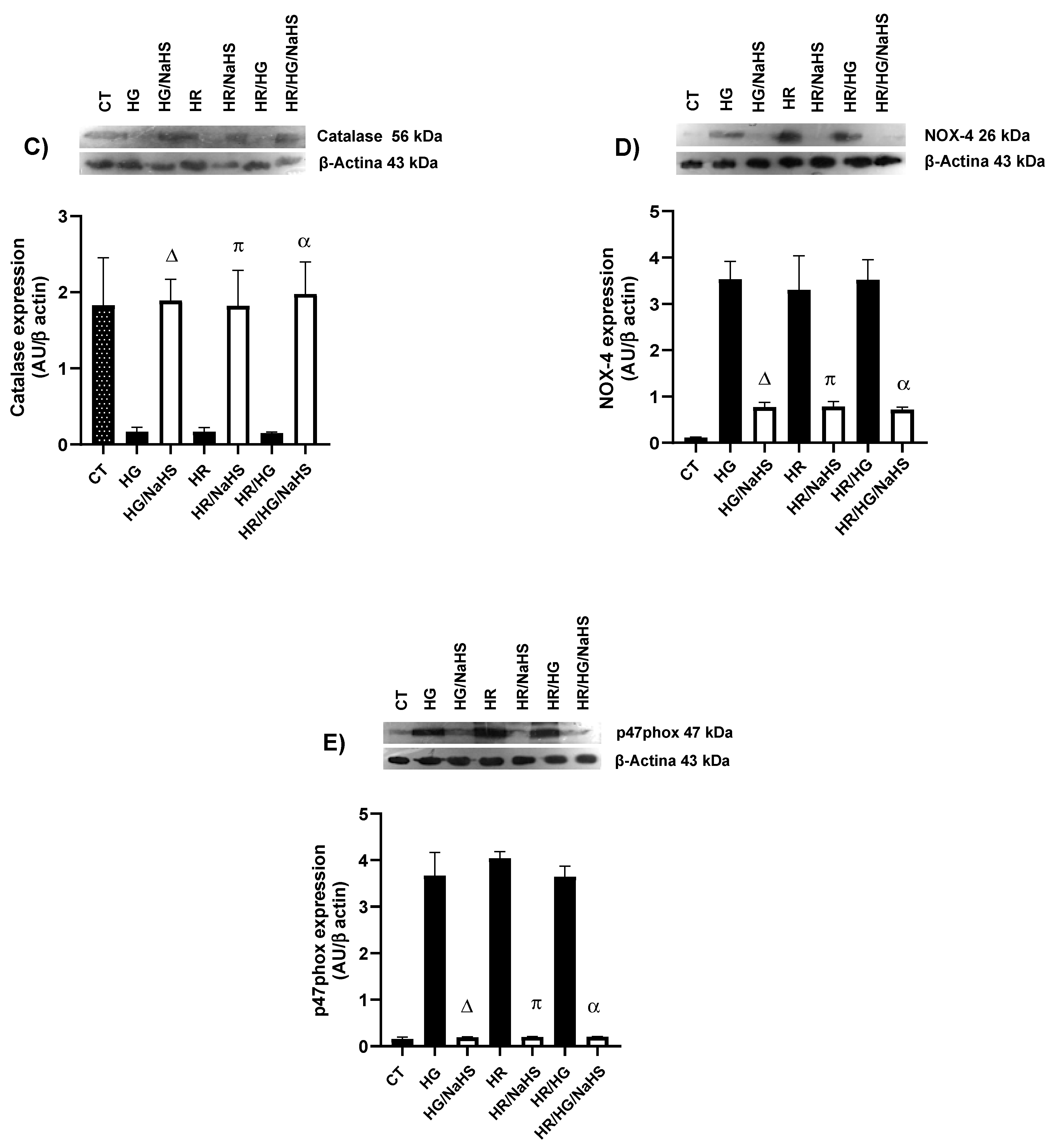 Antioxidants 14 00482 g010b