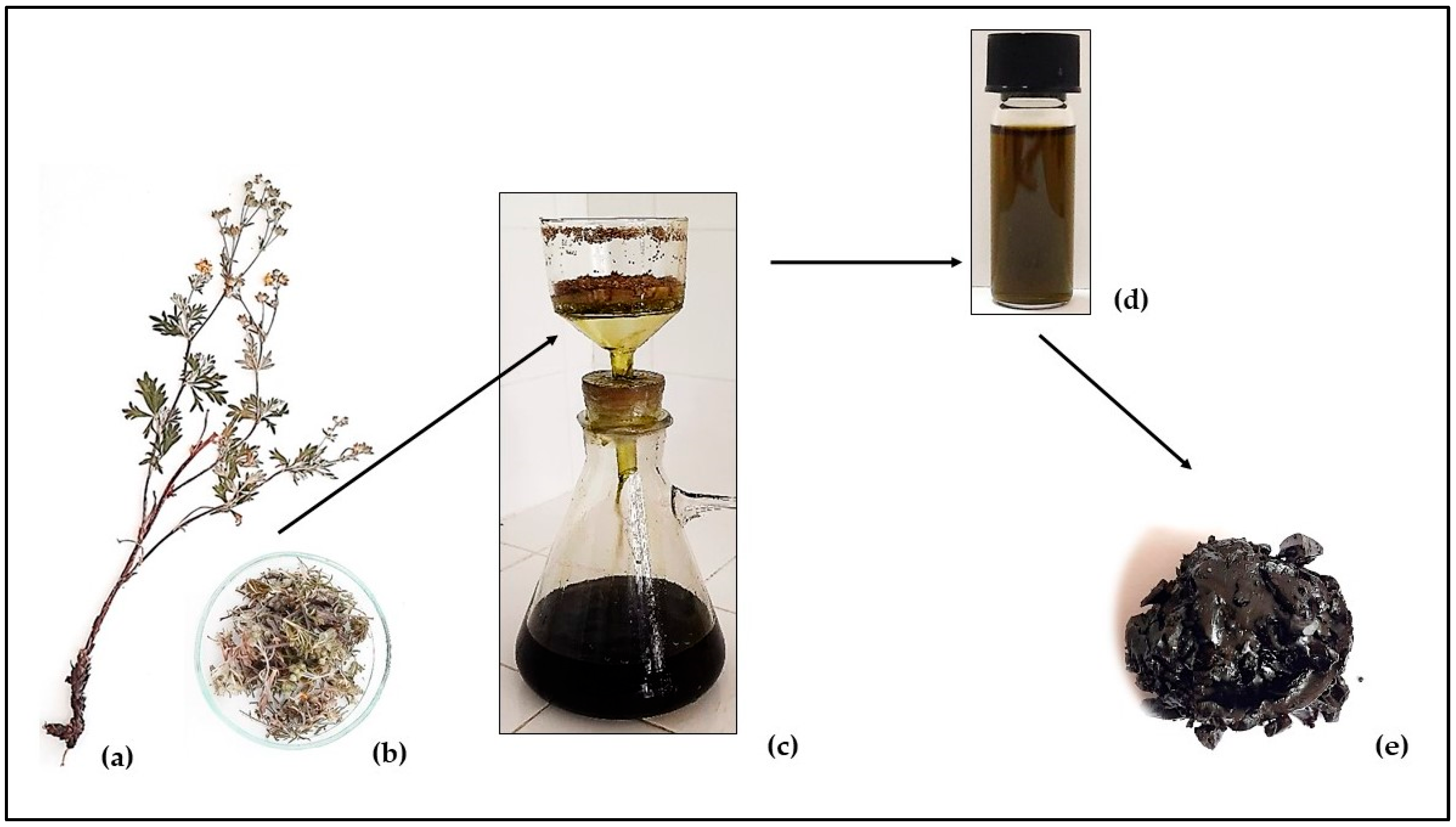 Antioxidants 14 00487 g002