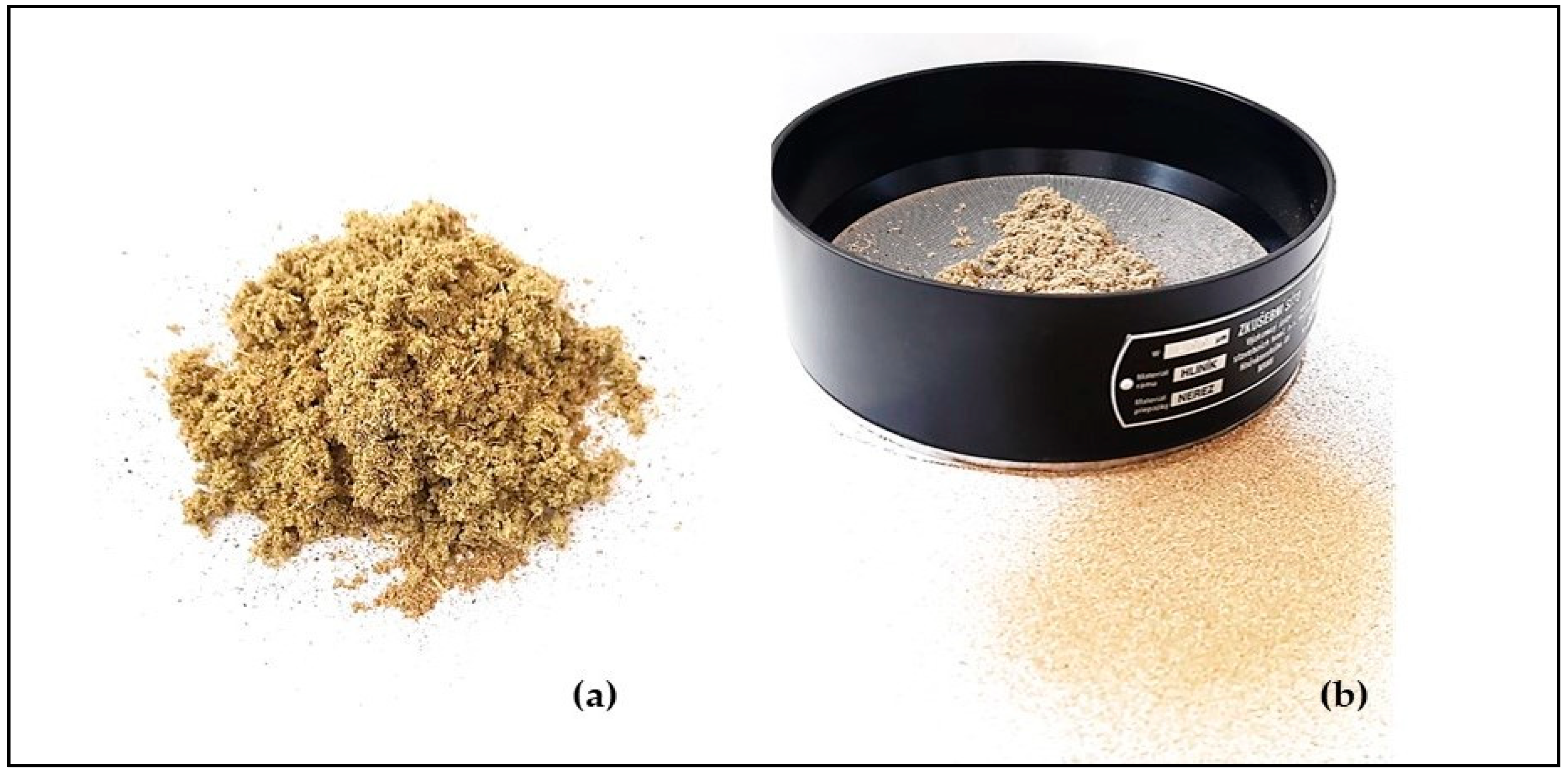 Antioxidants 14 00487 g003