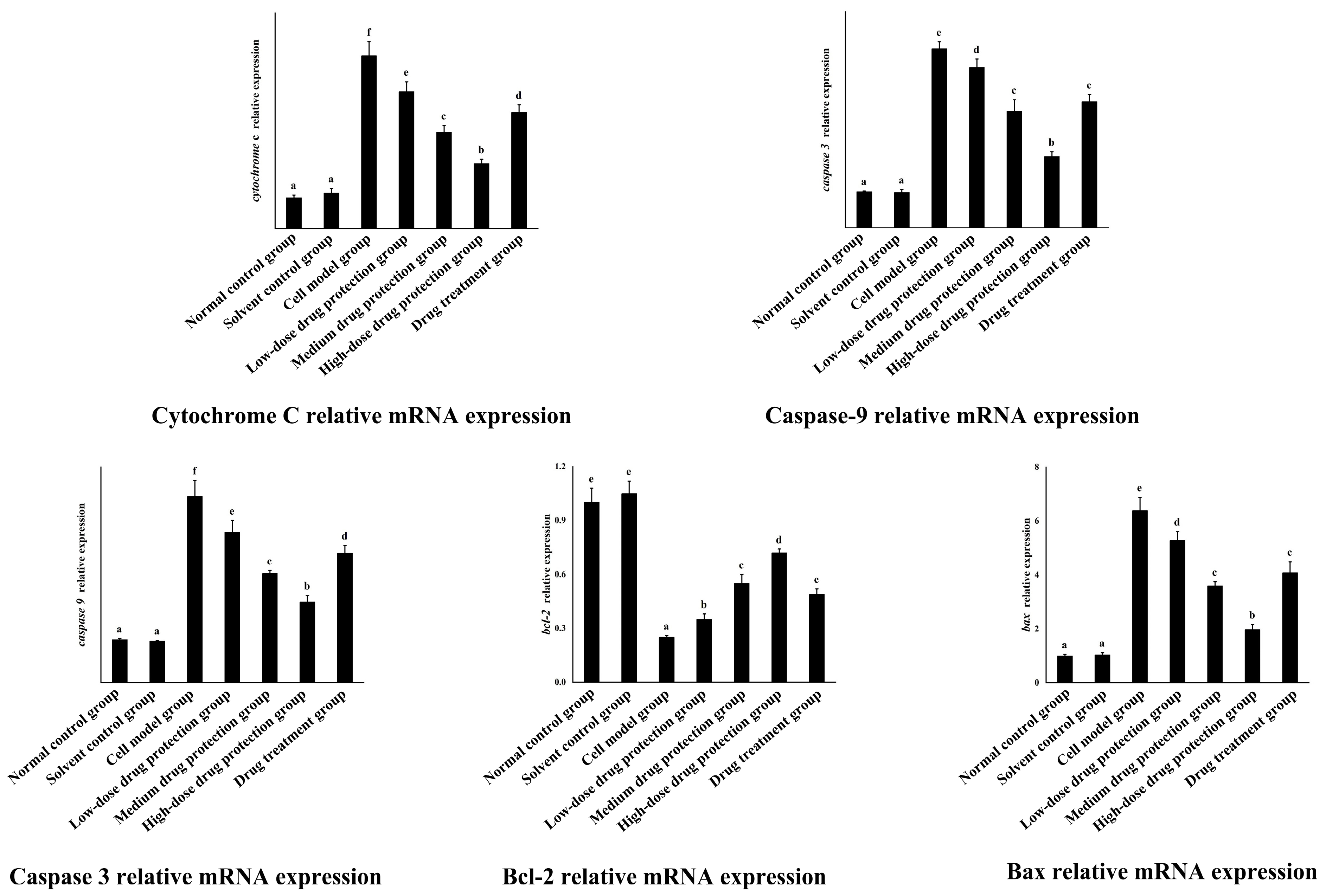 Antioxidants 14 00490 g010