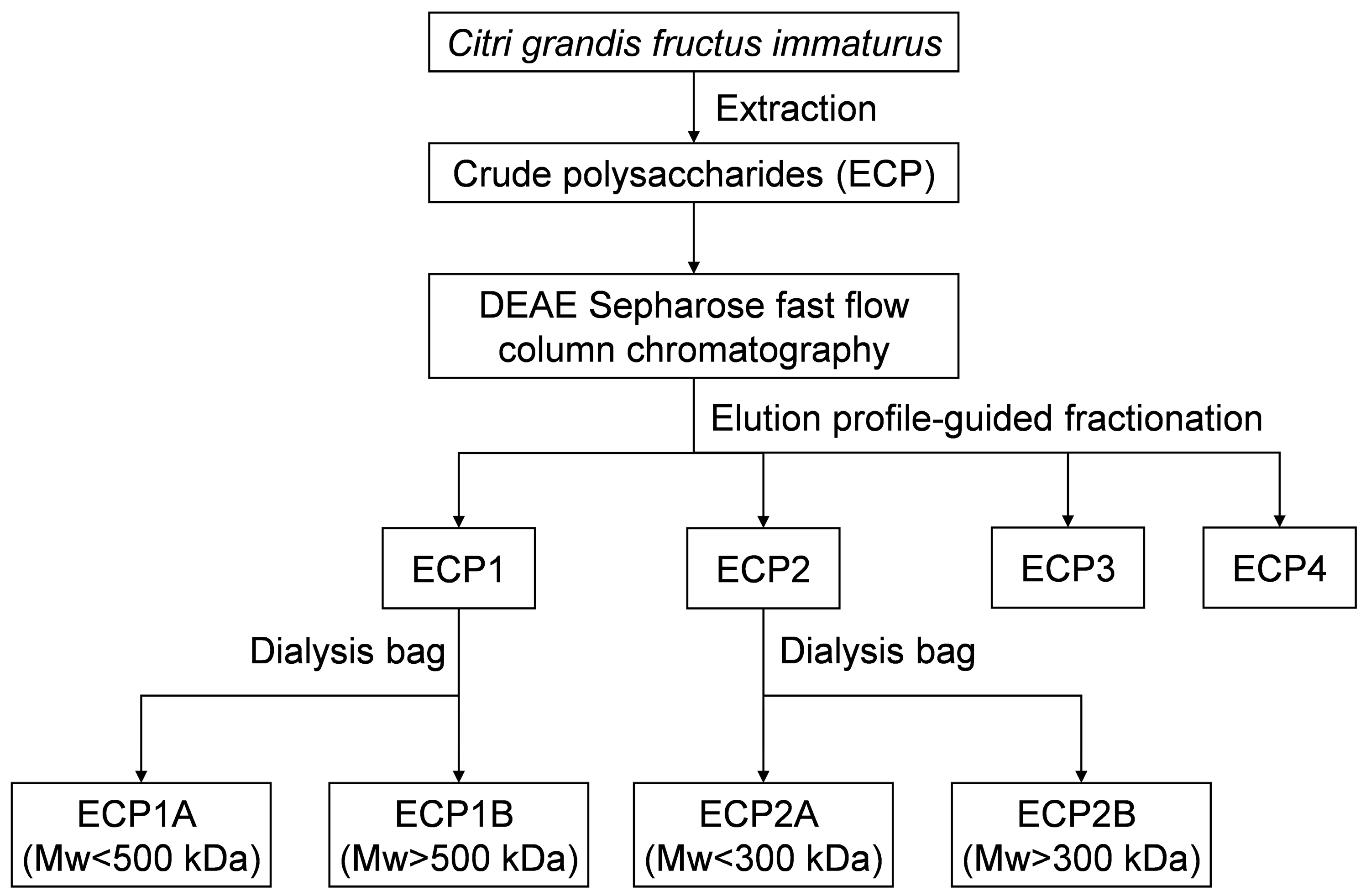 Antioxidants 14 00491 g001