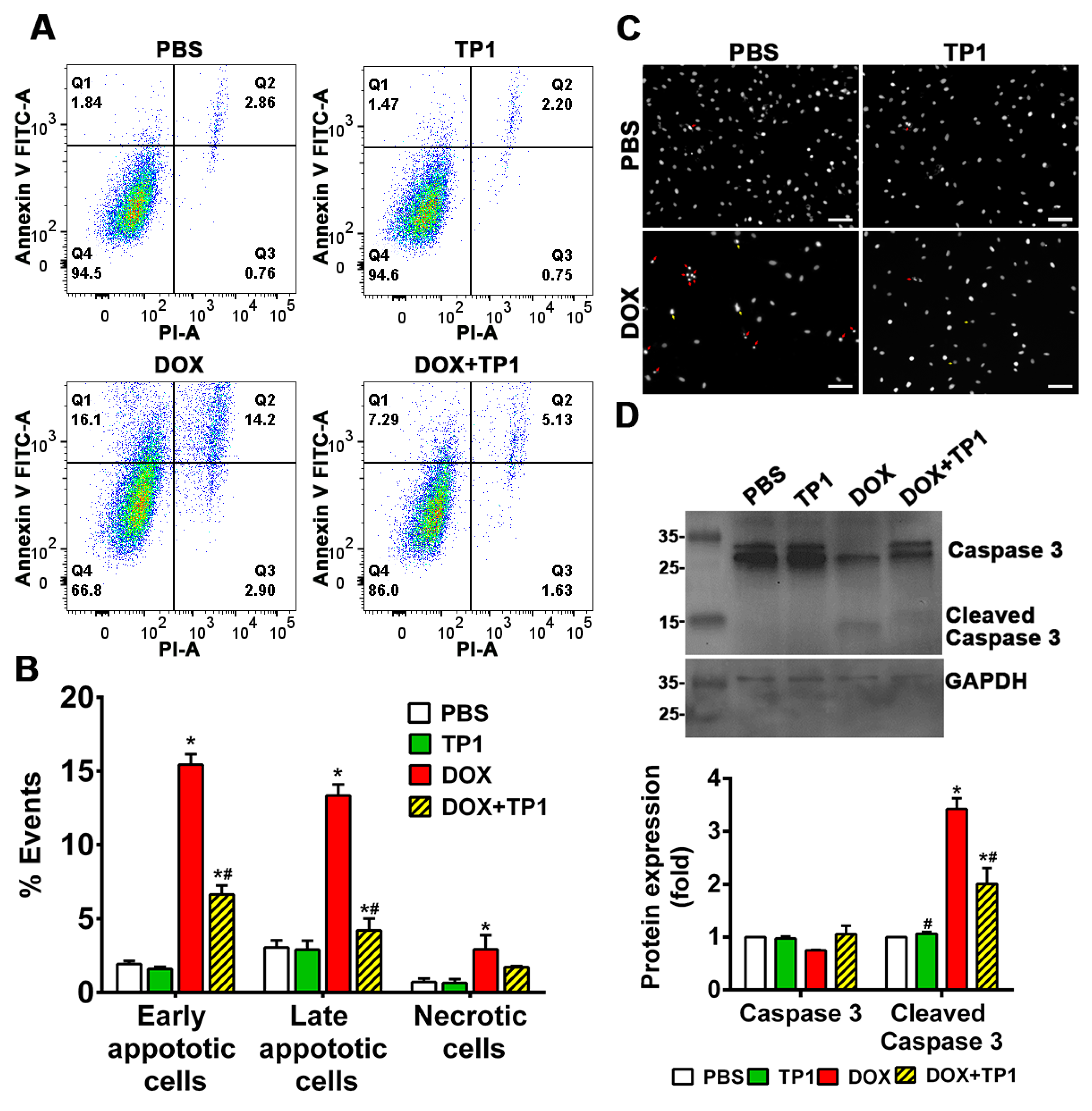 Antioxidants 14 00493 g003