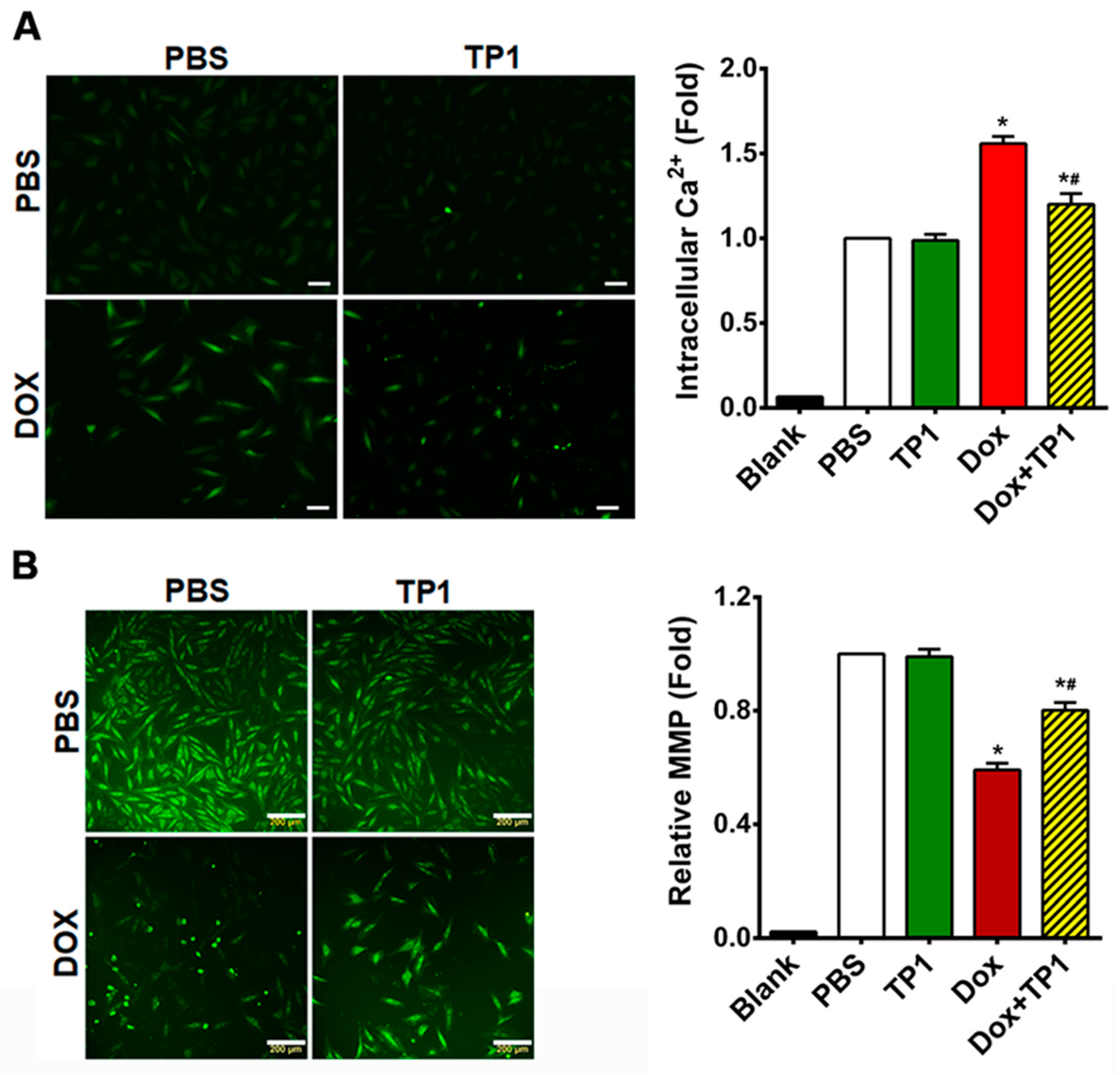 Antioxidants 14 00493 g004