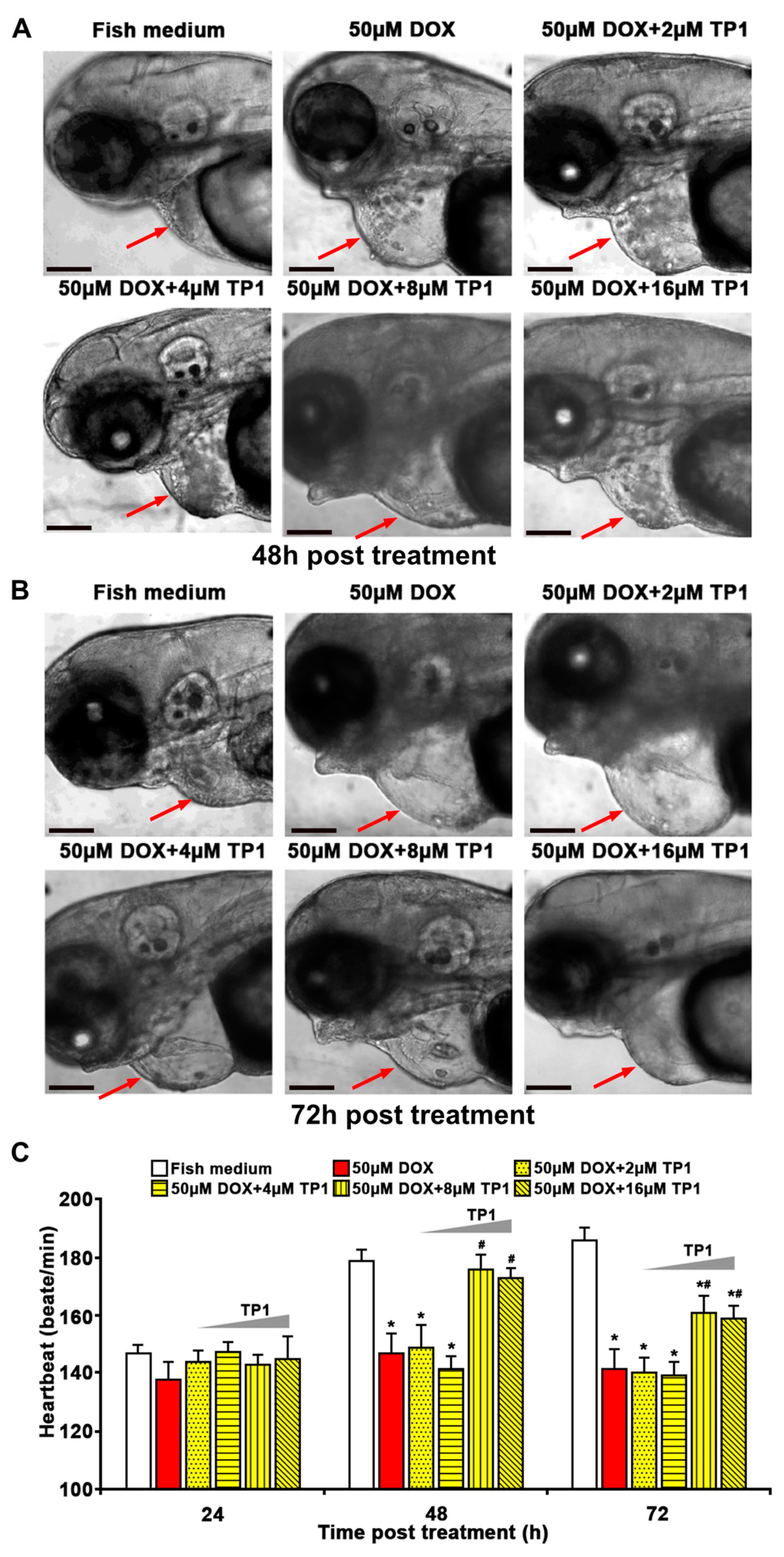 Antioxidants 14 00493 g006