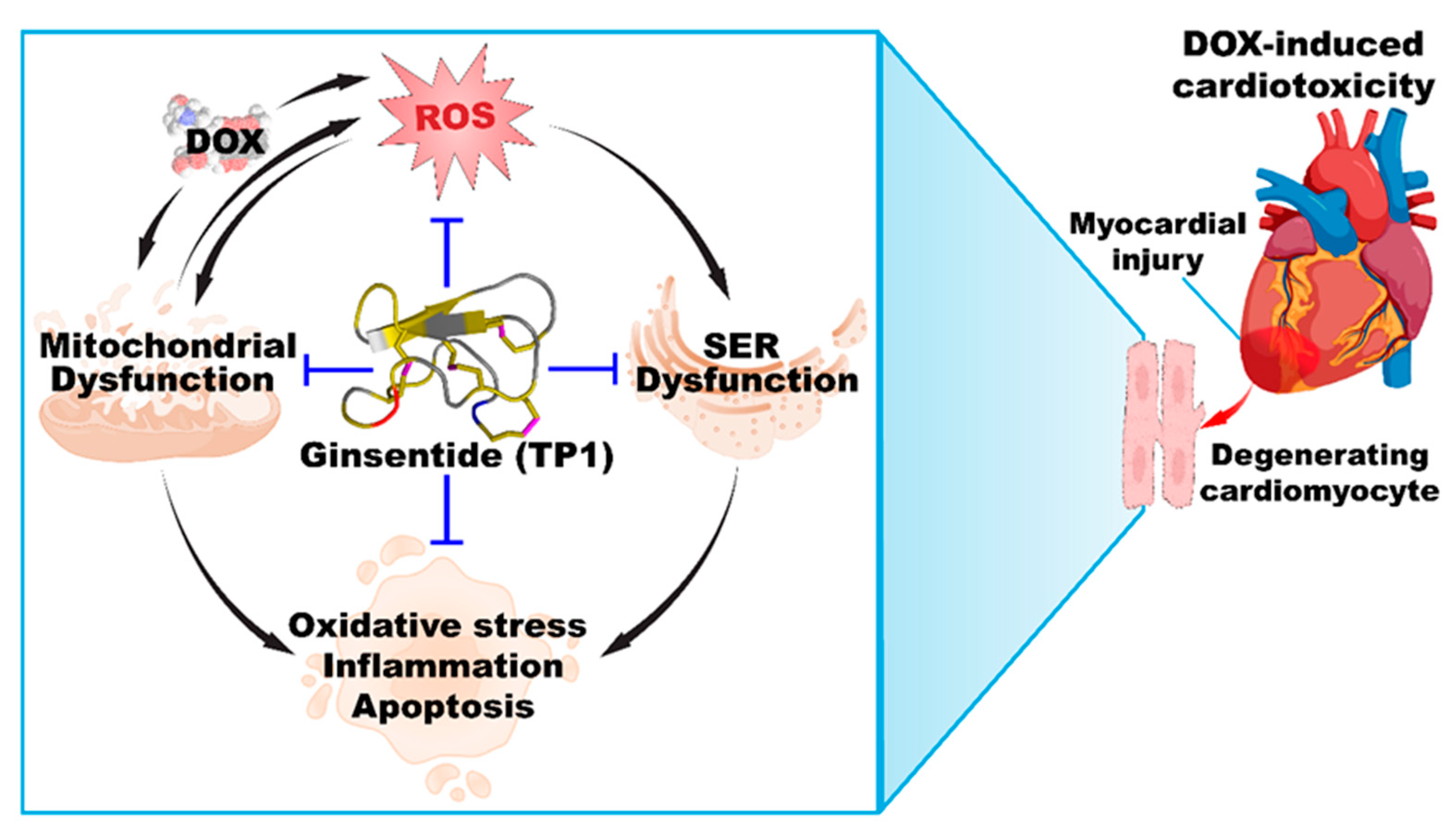 Antioxidants 14 00493 g009