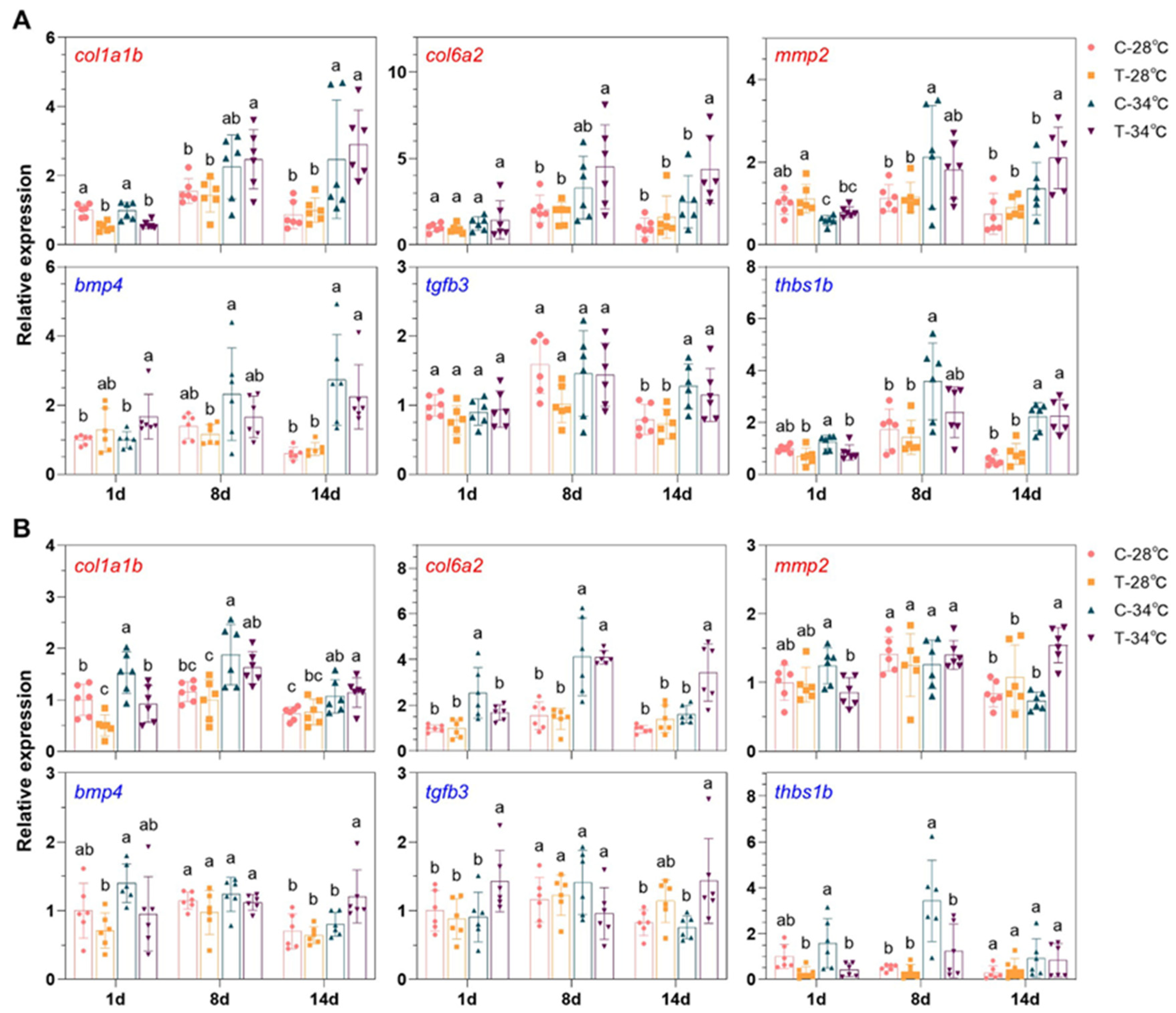 Antioxidants 14 00495 g008