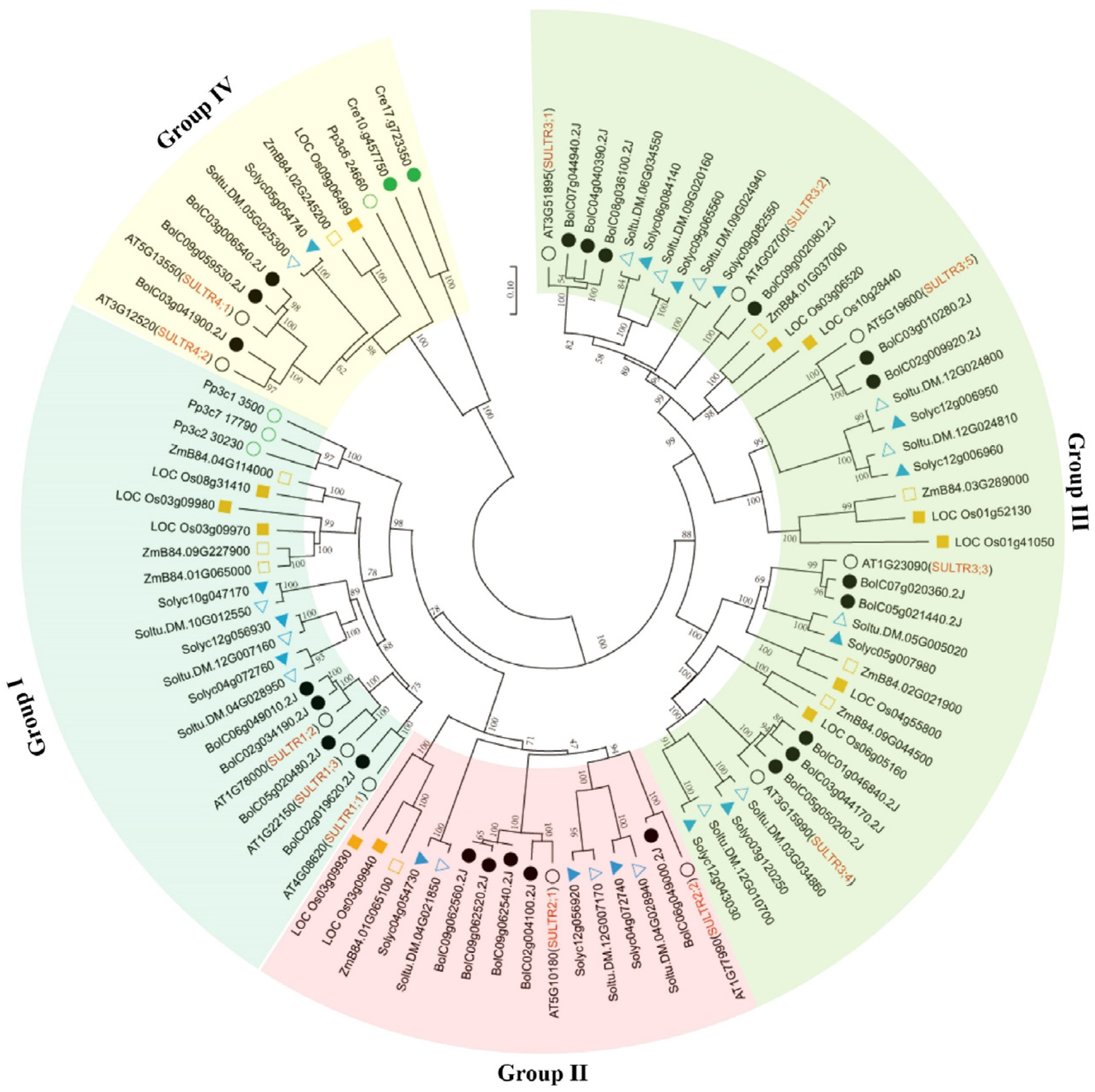 Antioxidants 14 00496 g001
