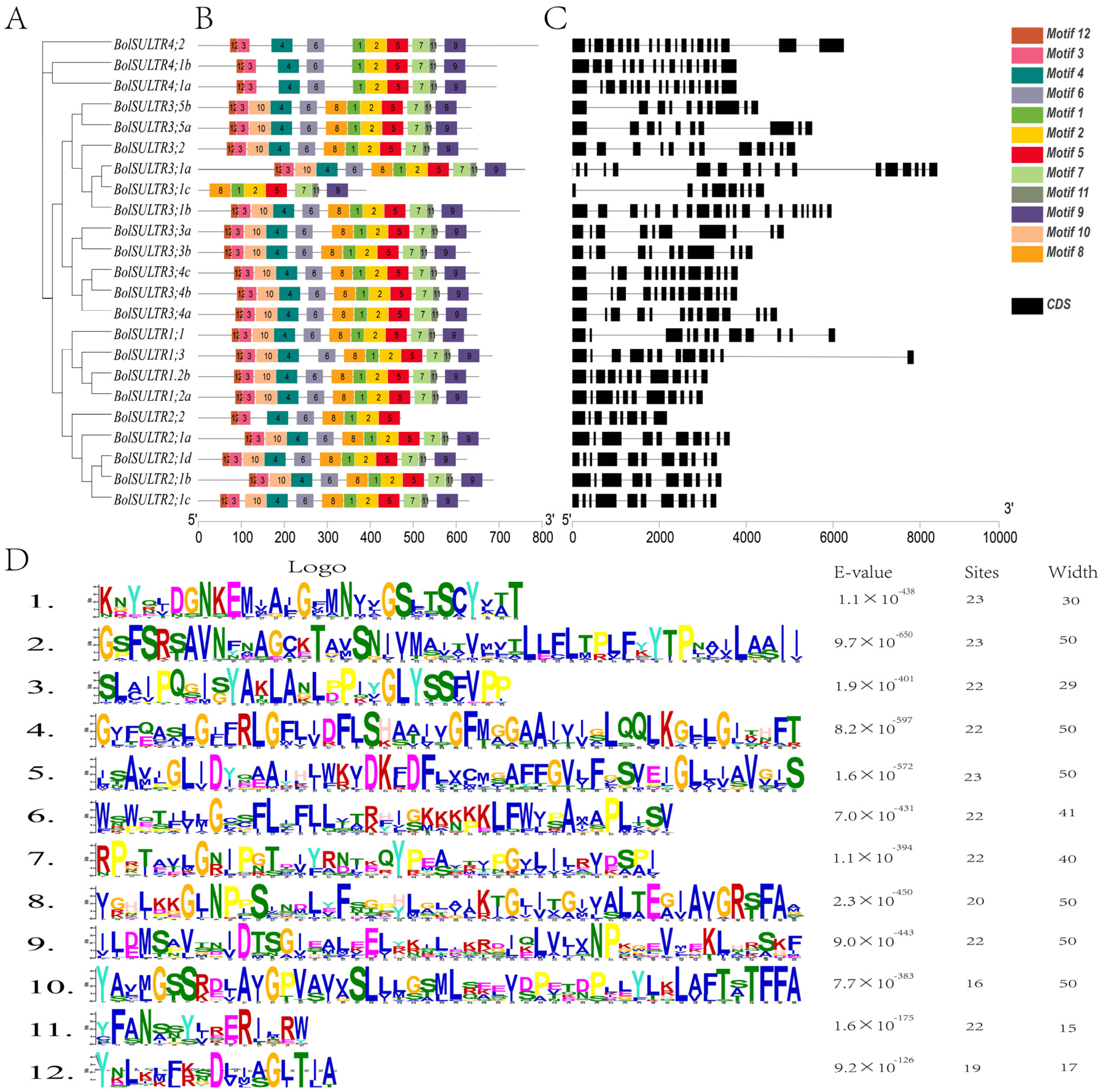 Antioxidants 14 00496 g002
