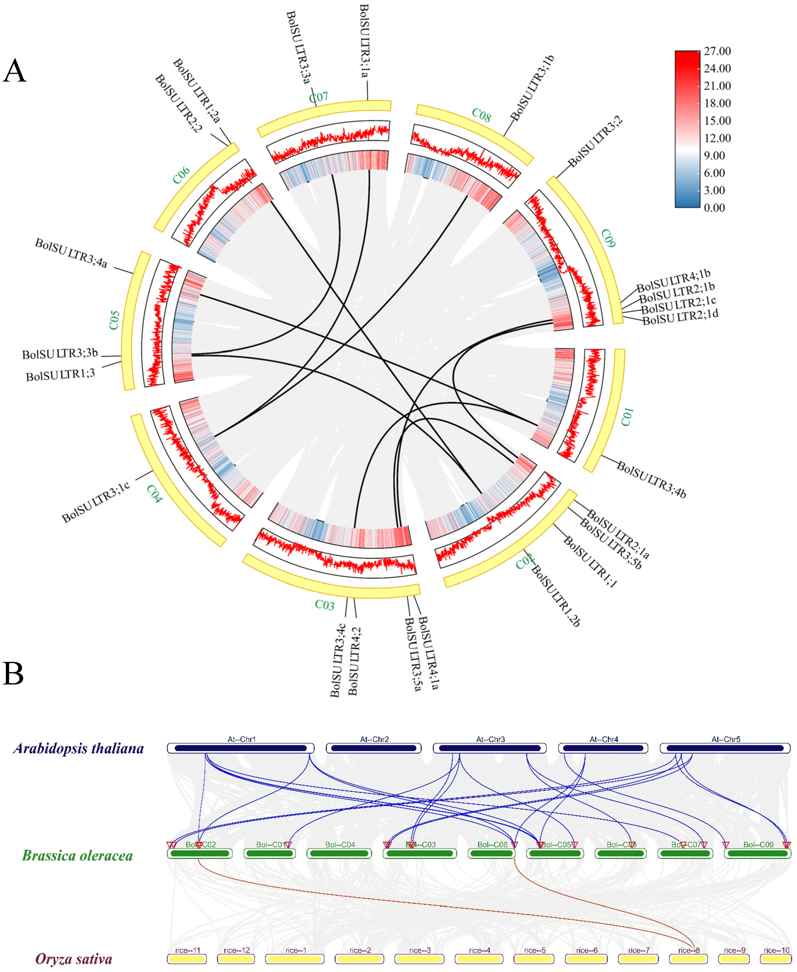 Antioxidants 14 00496 g003