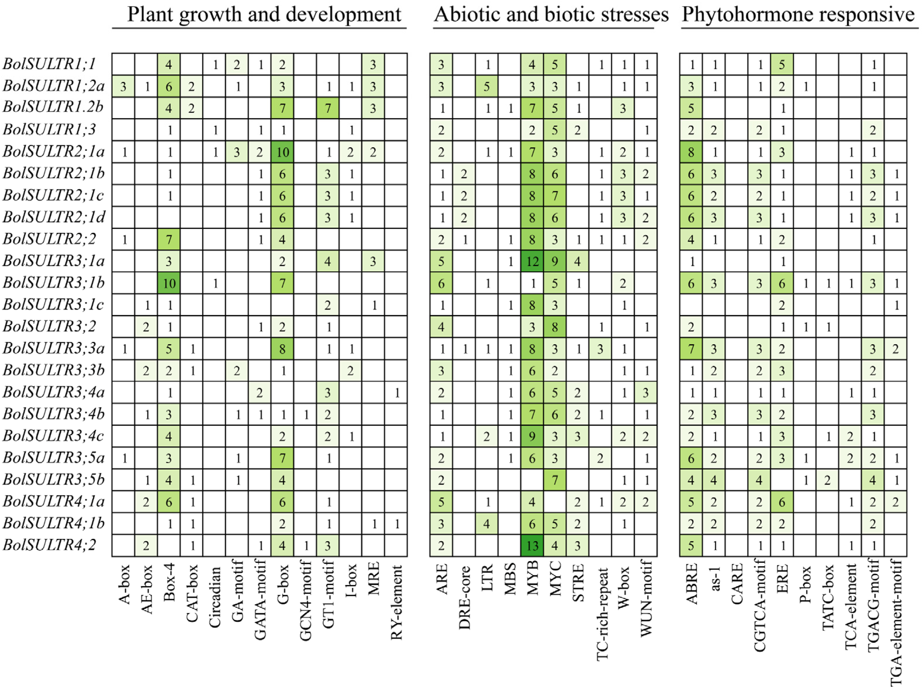 Antioxidants 14 00496 g004