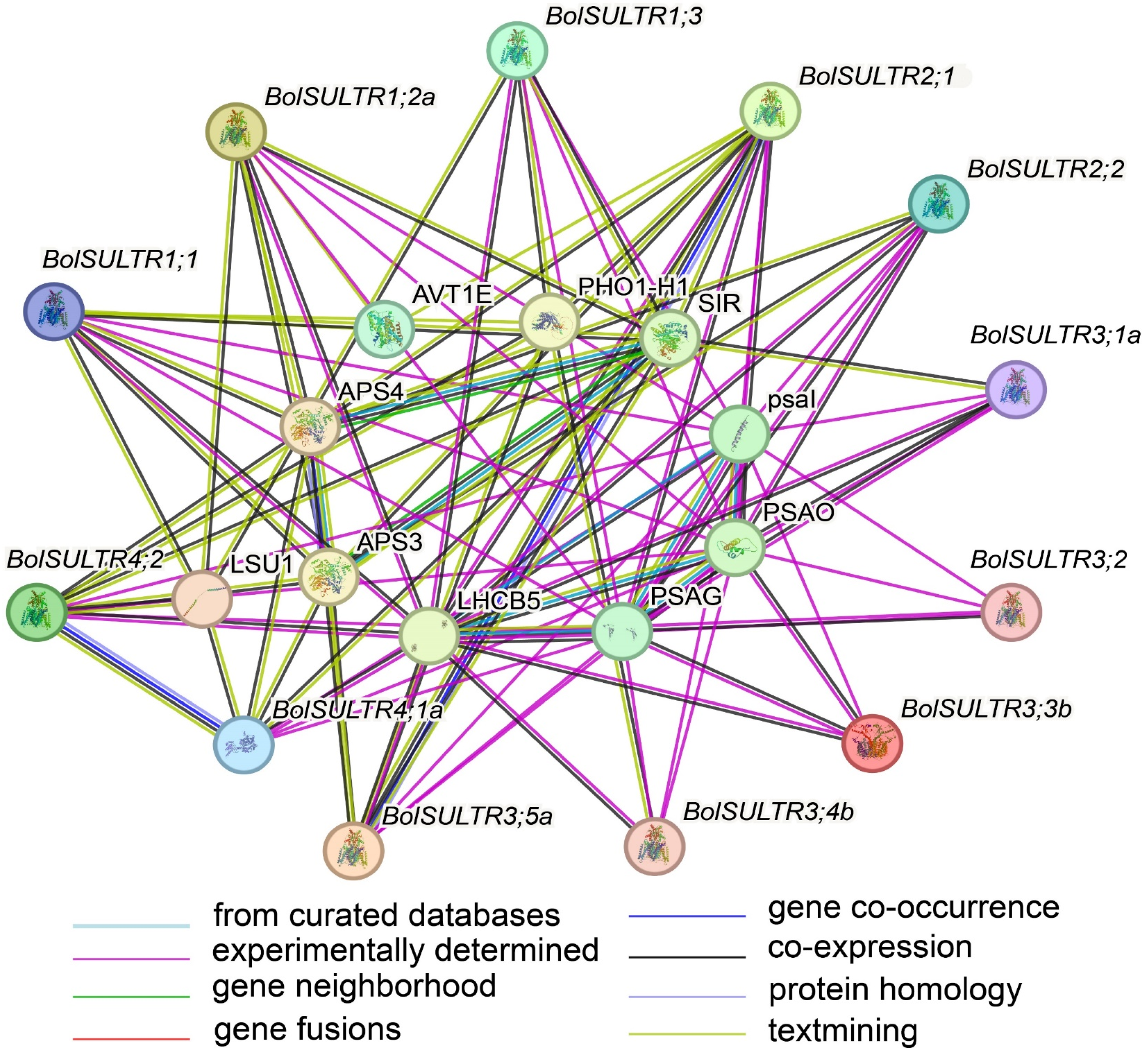 Antioxidants 14 00496 g005