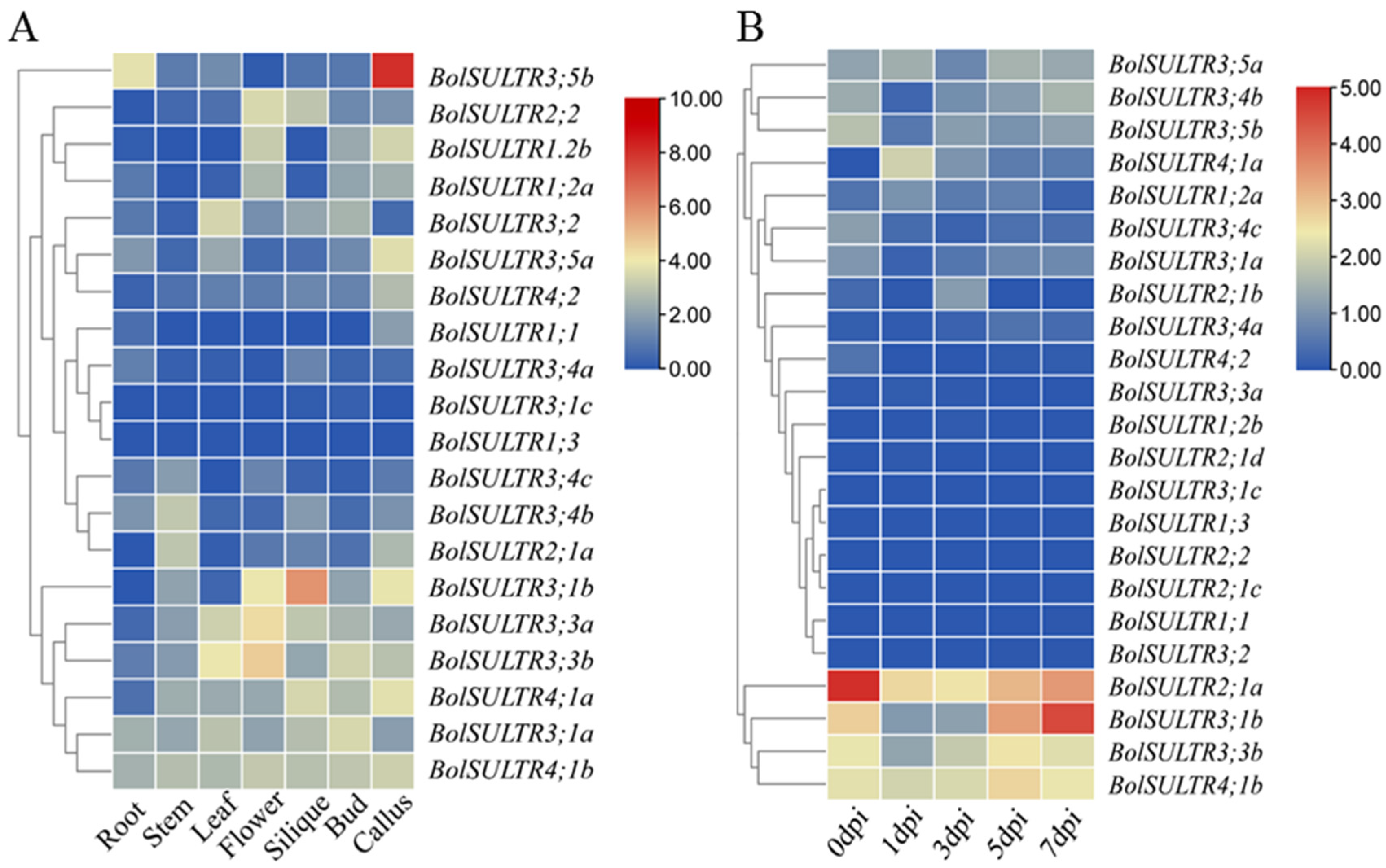 Antioxidants 14 00496 g006