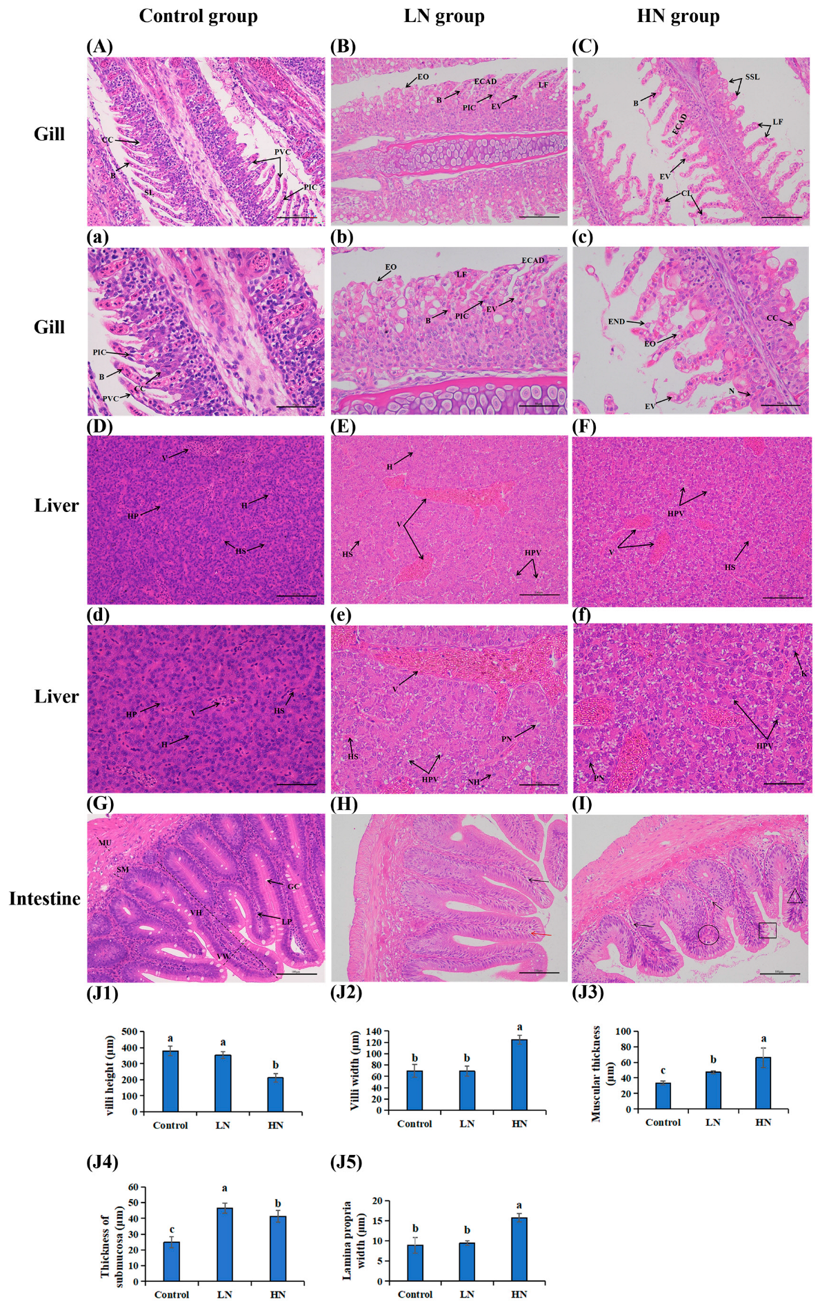 Antioxidants 14 00499 g001