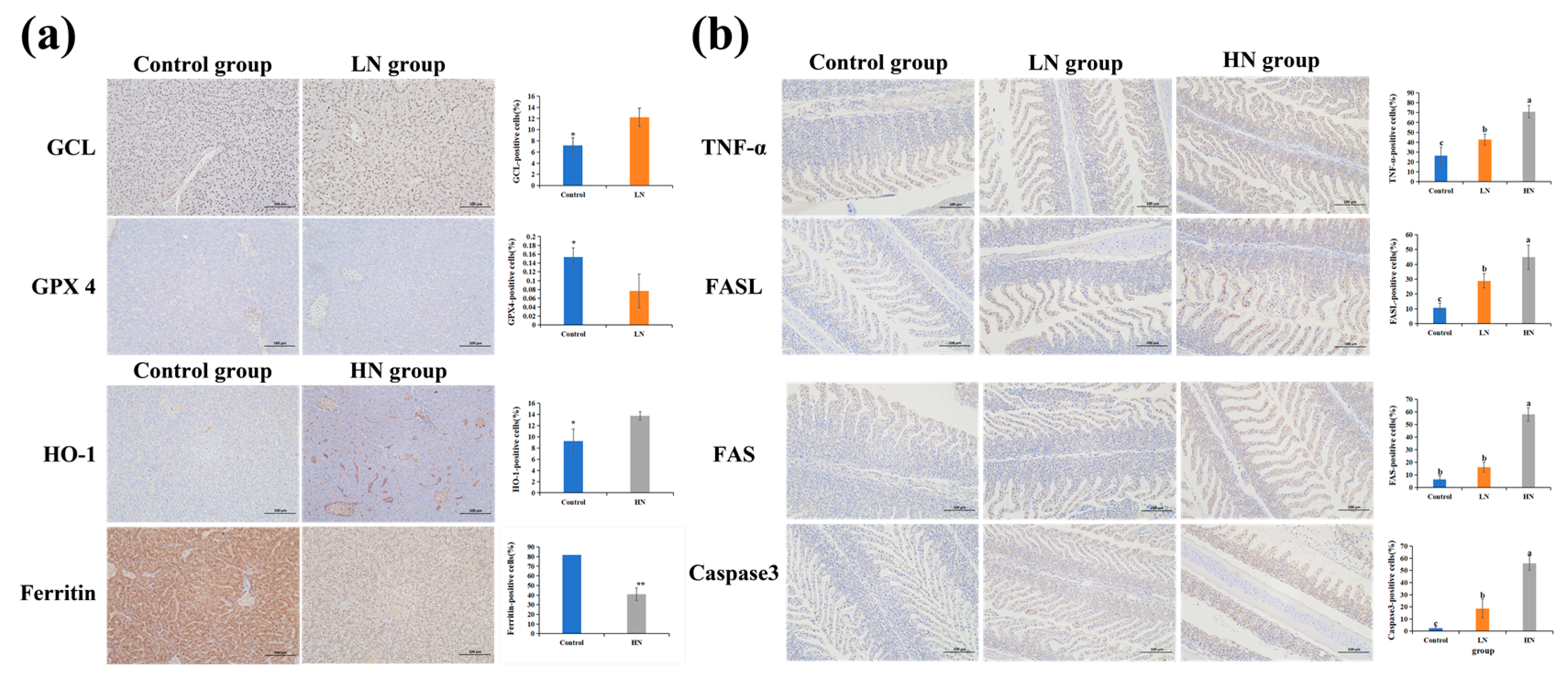 Antioxidants 14 00499 g013