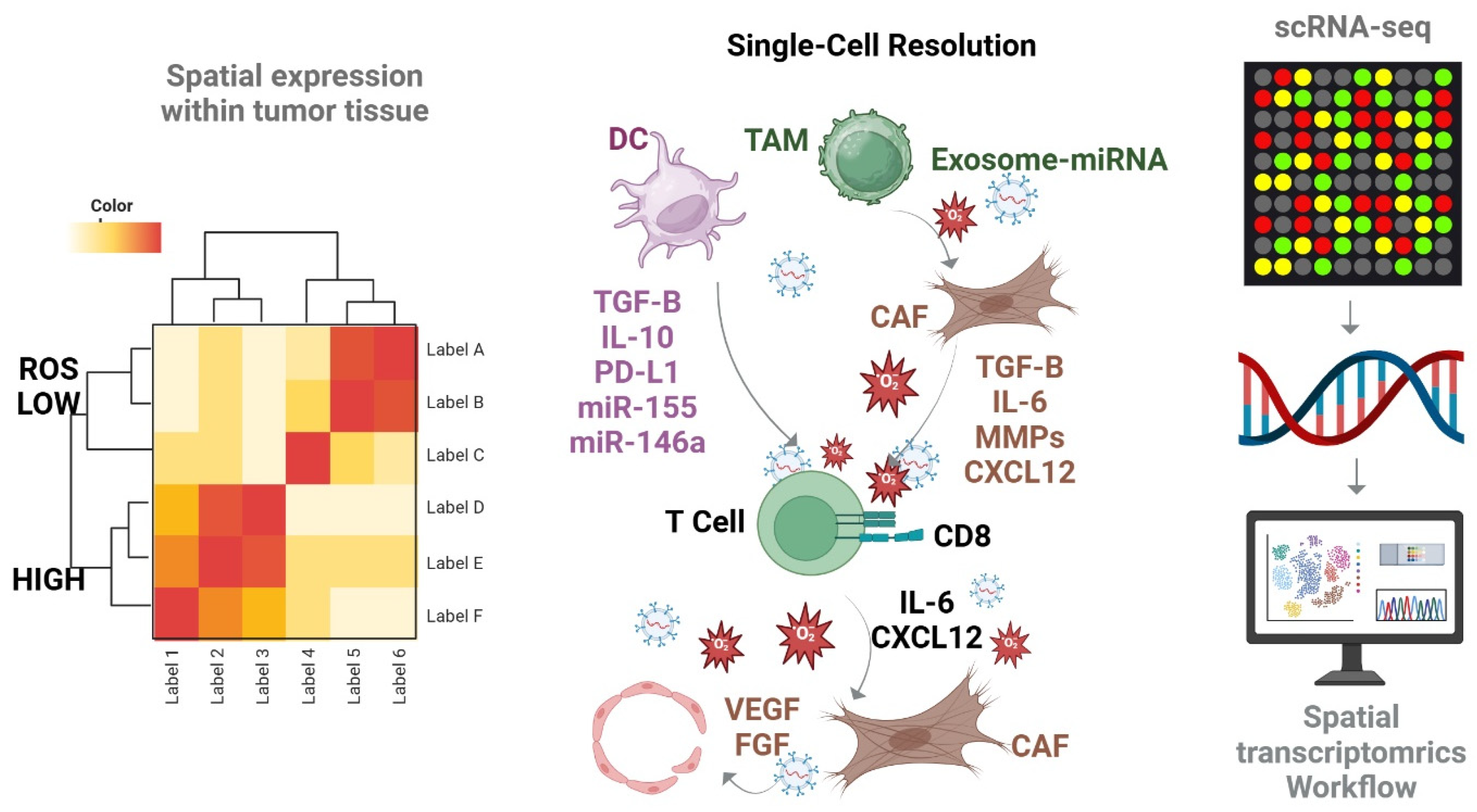 Antioxidants 14 00501 g001