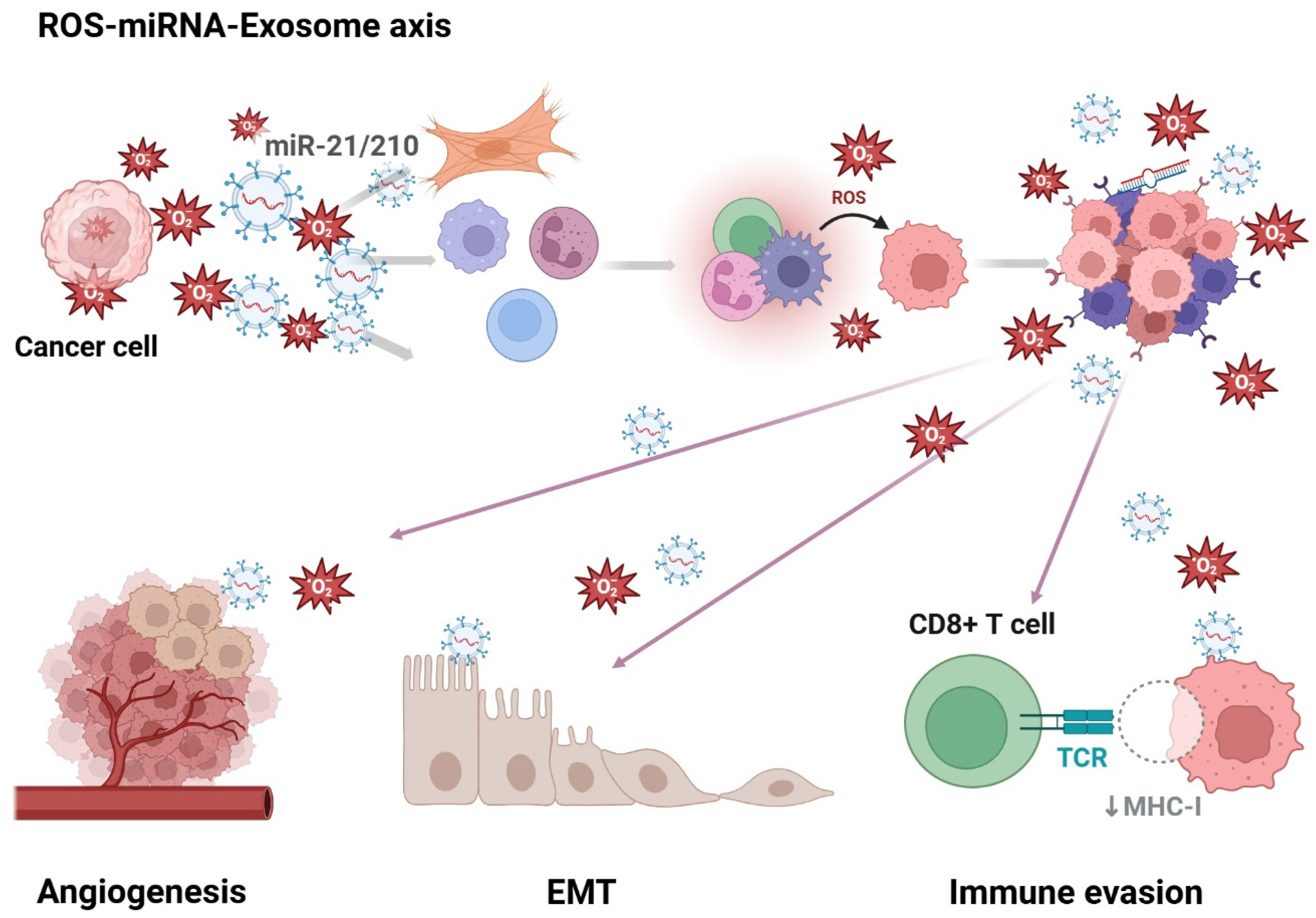 Antioxidants 14 00501 g002