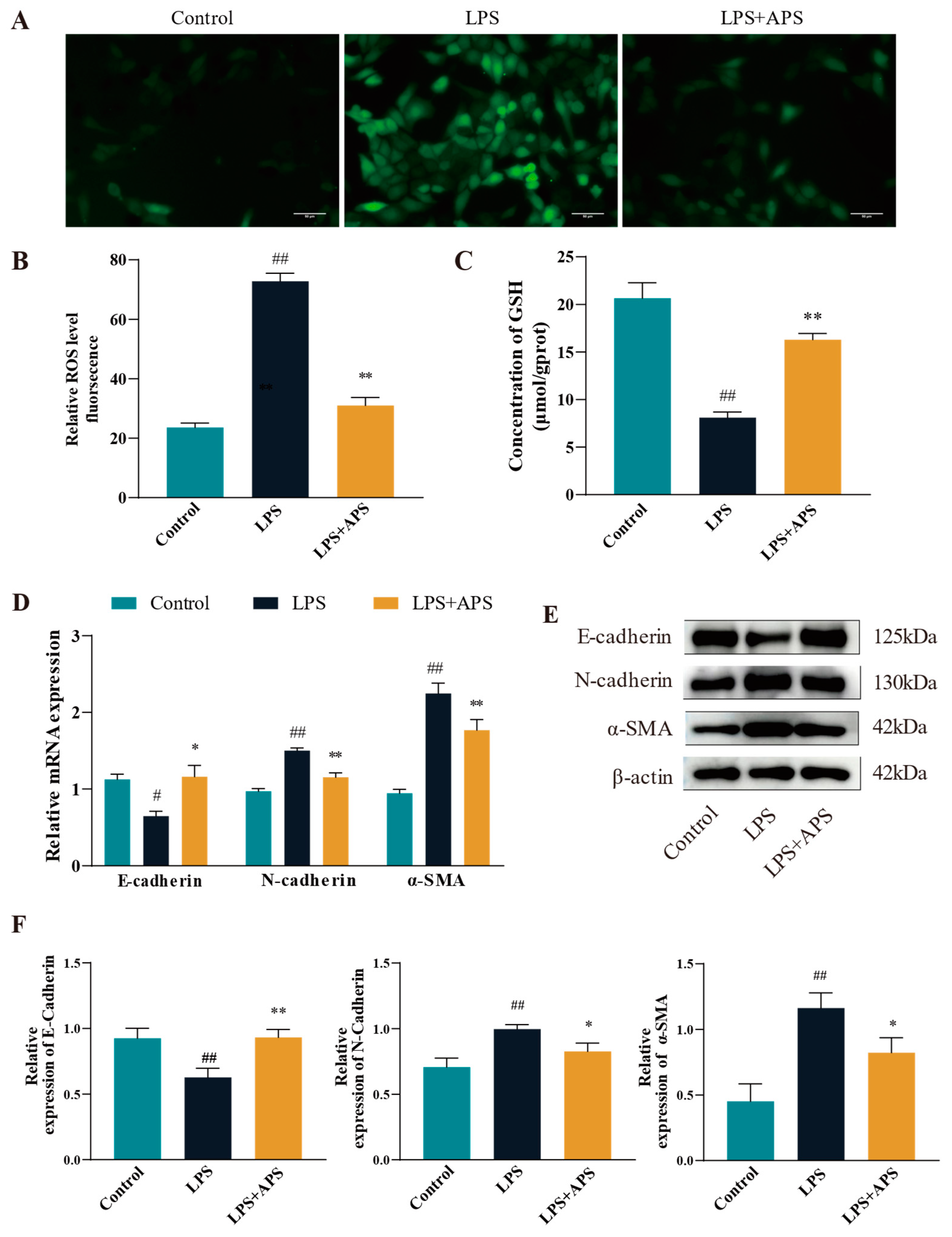 Antioxidants 14 00503 g003