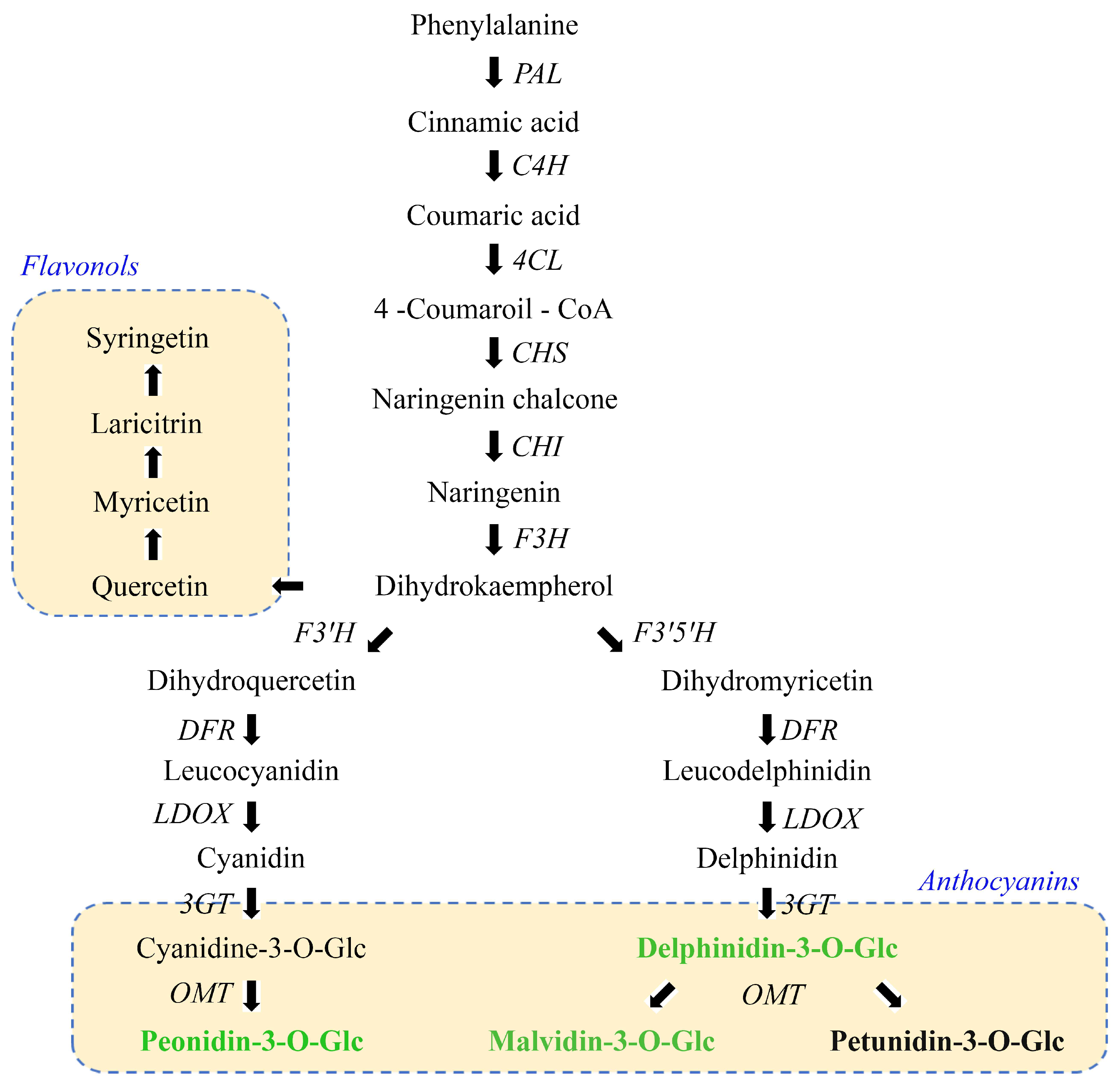 Antioxidants 14 00504 g003