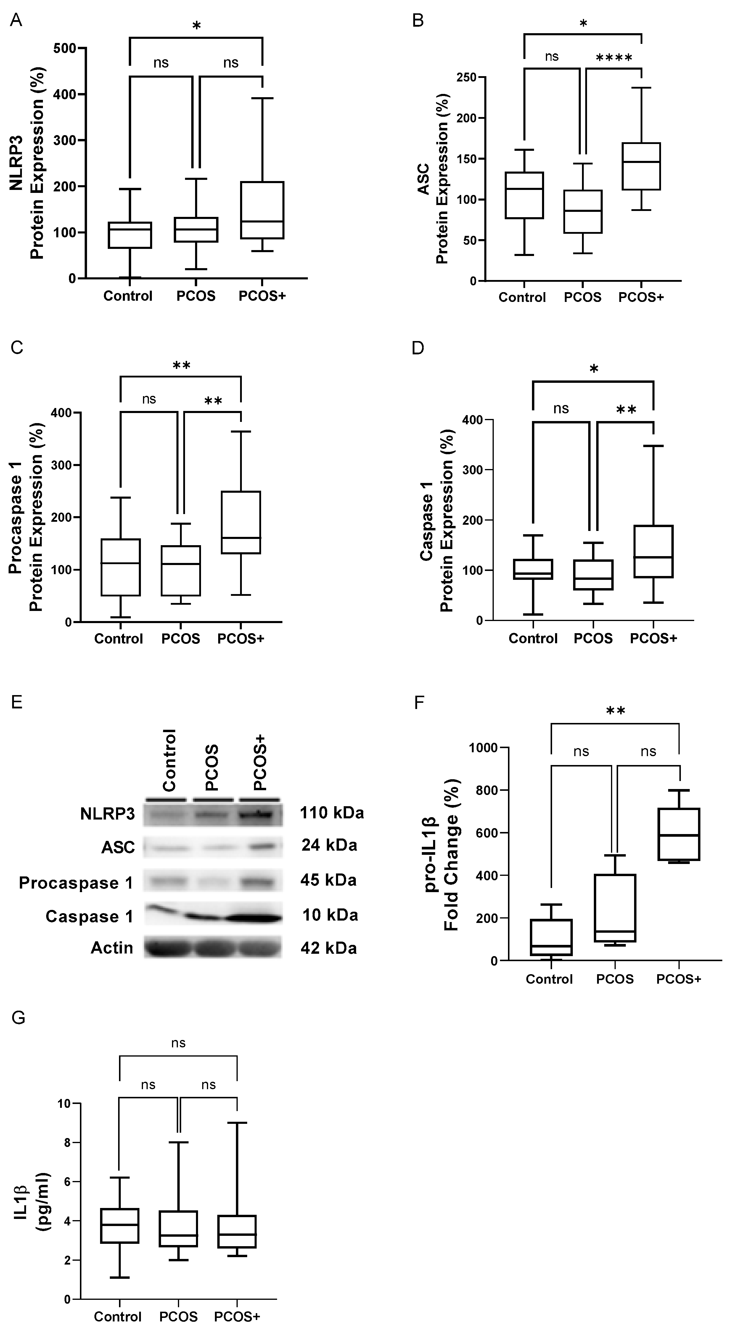 Antioxidants 14 00507 g002
