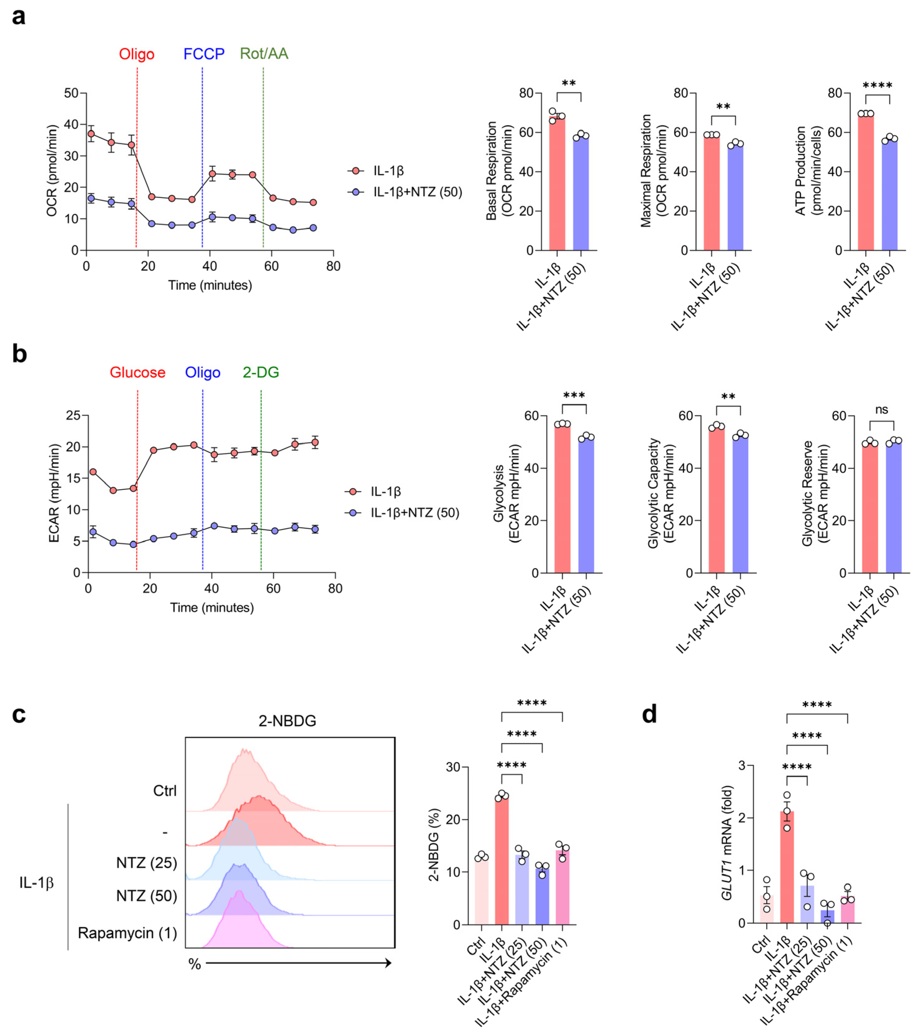 Antioxidants 14 00512 g002