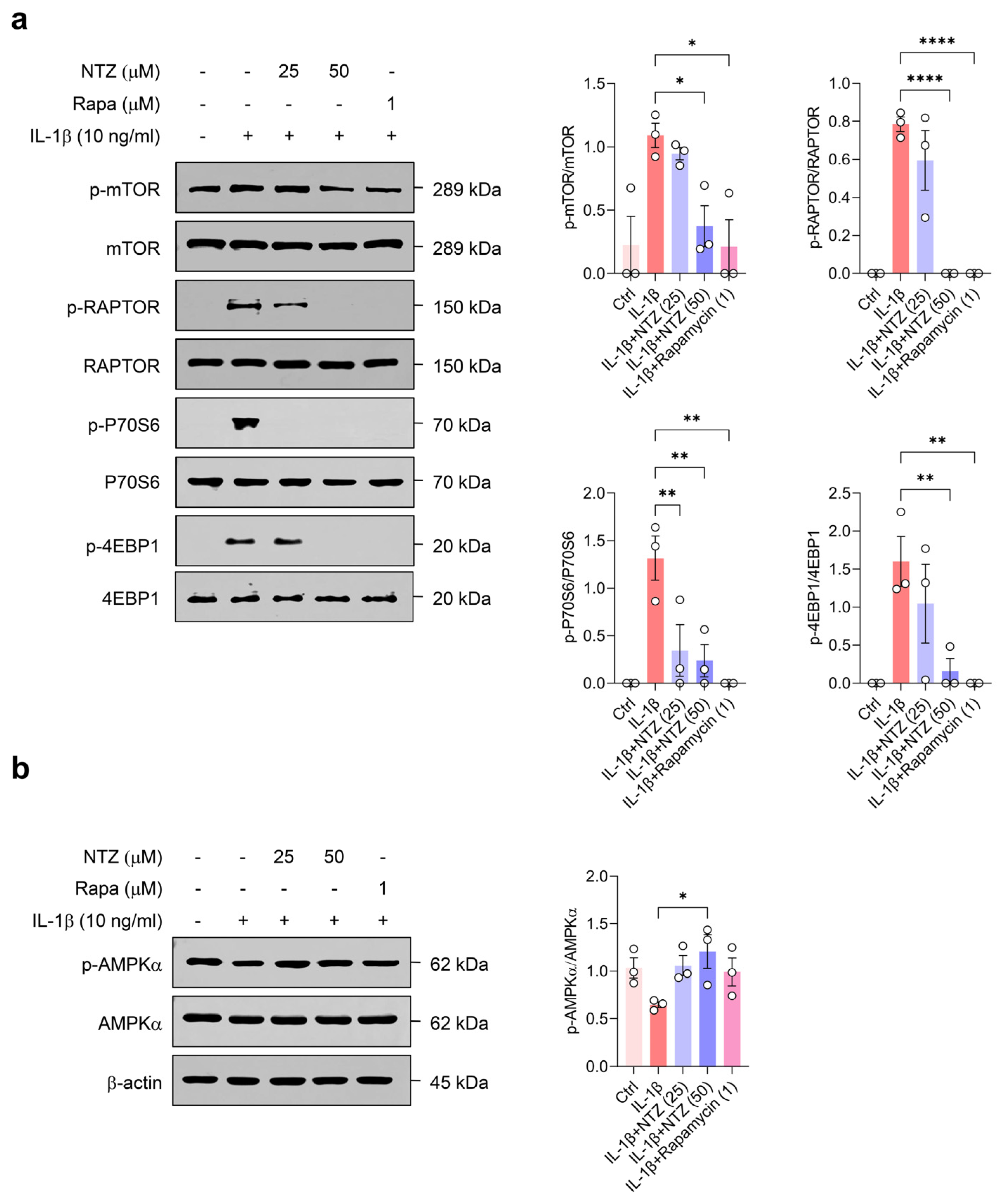 Antioxidants 14 00512 g004