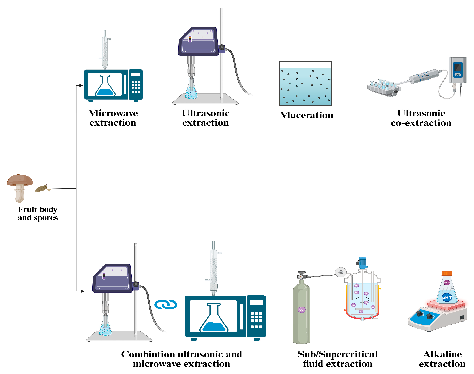 Antioxidants 14 00513 g002