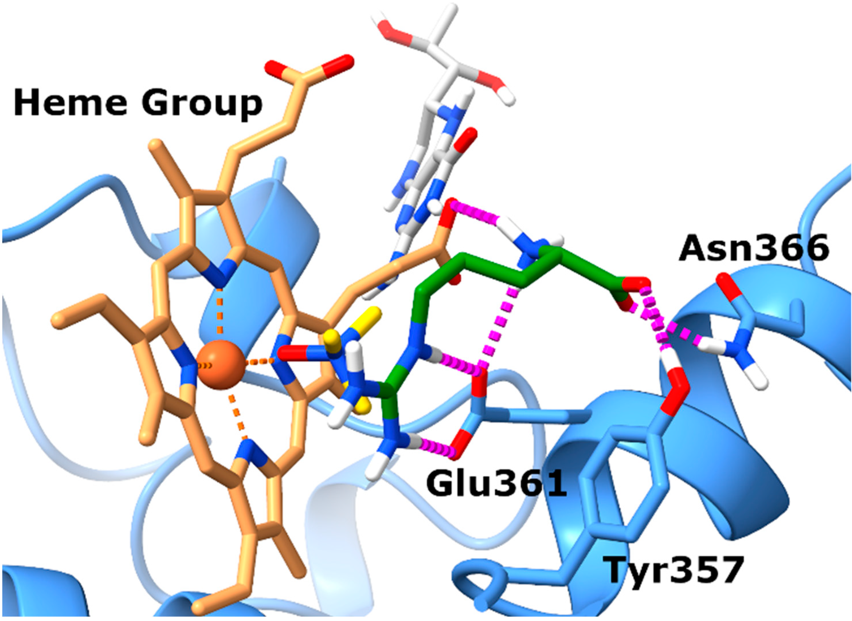 Antioxidants 14 00517 g001