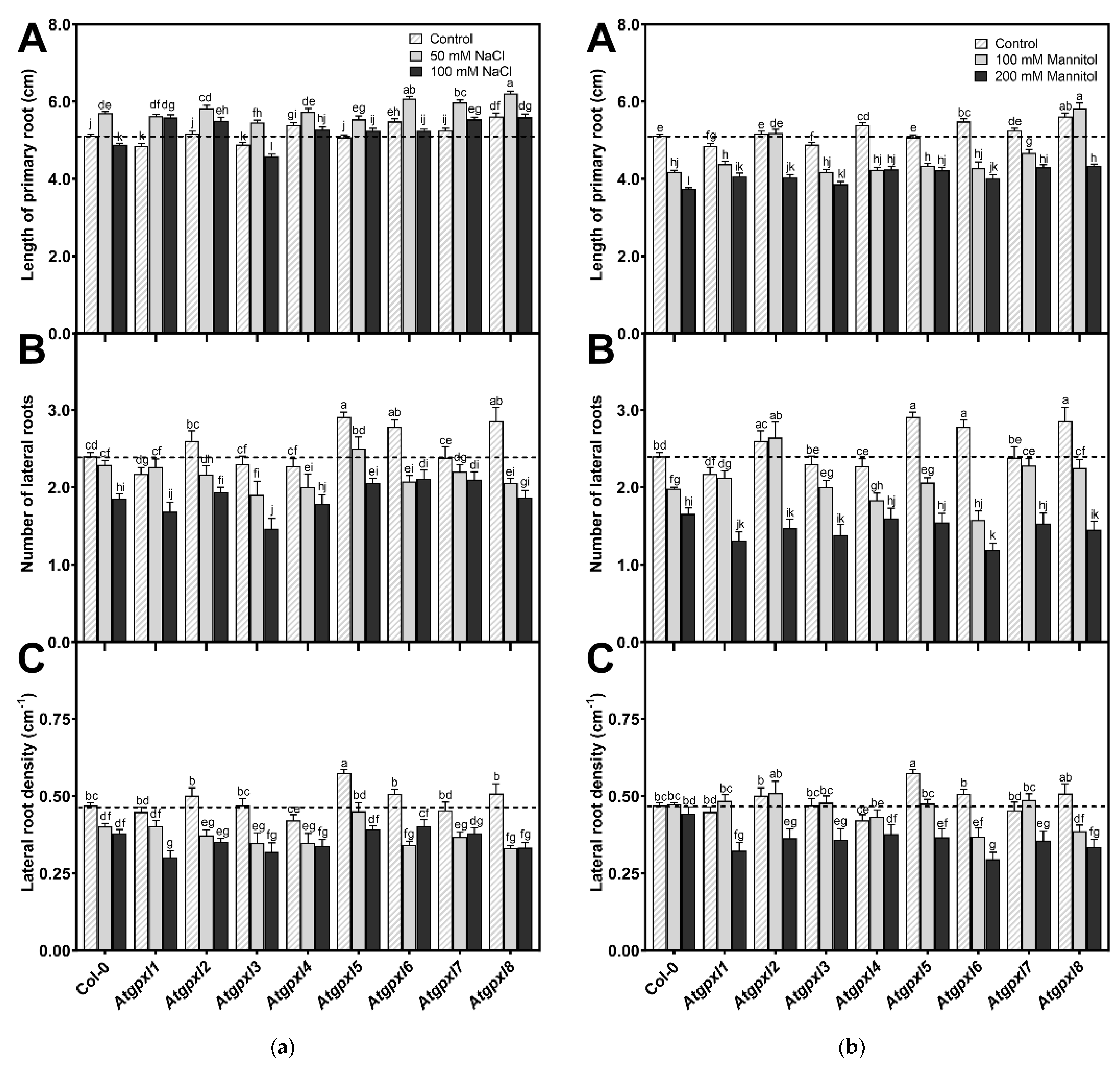 Antioxidants 14 00518 g002
