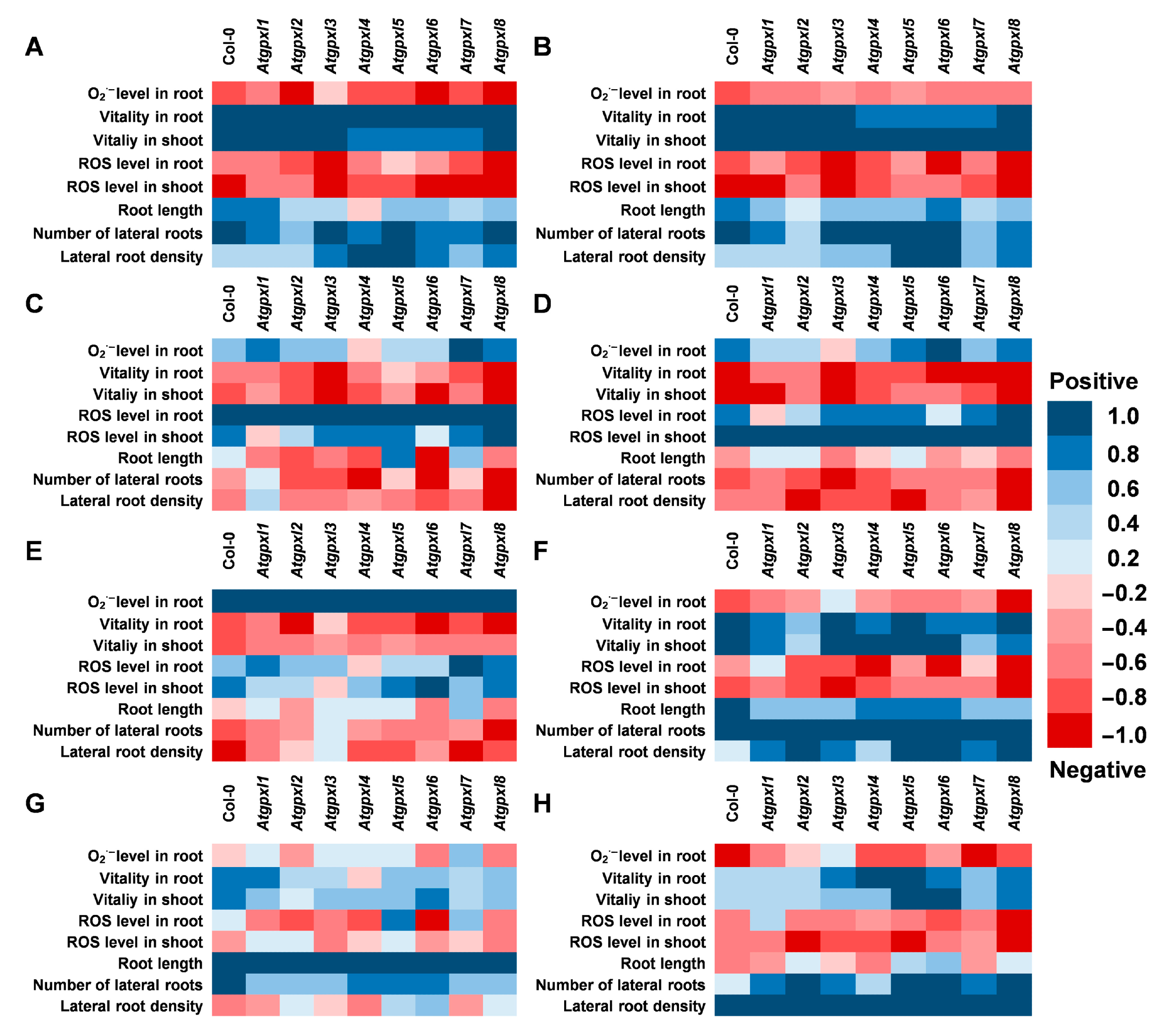 Antioxidants 14 00518 g008