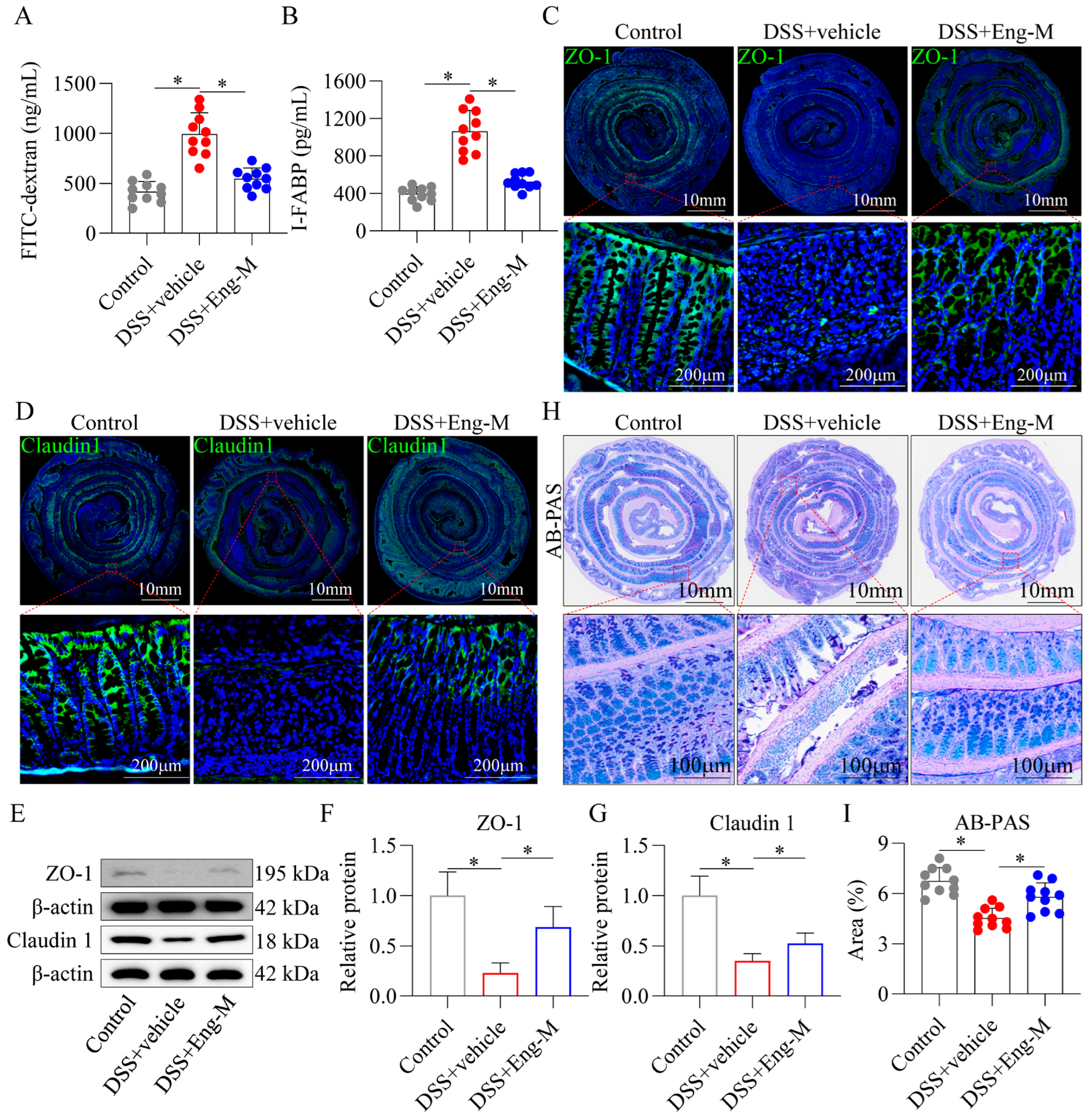 Antioxidants 14 00524 g003