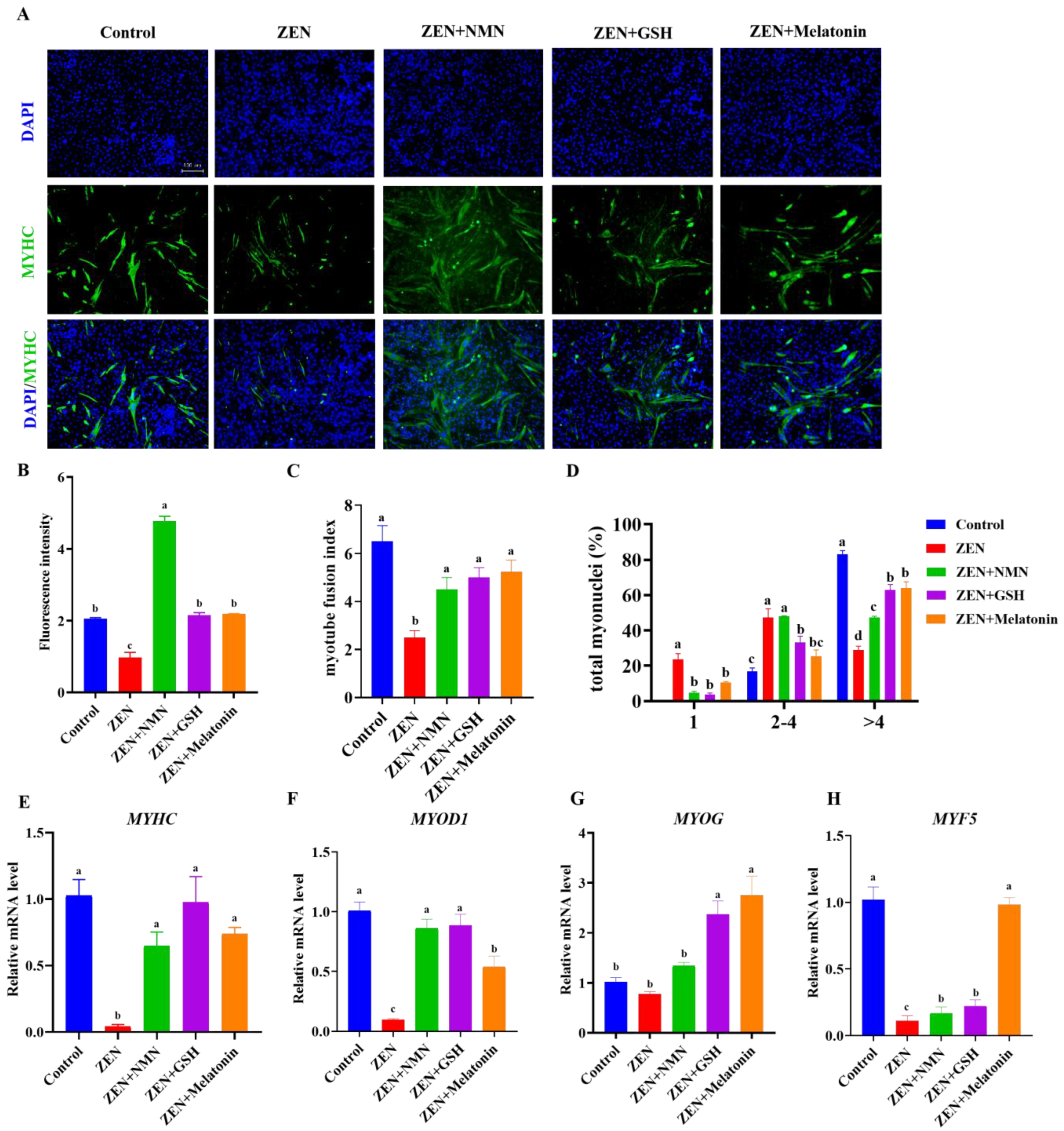 Antioxidants 14 00528 g002