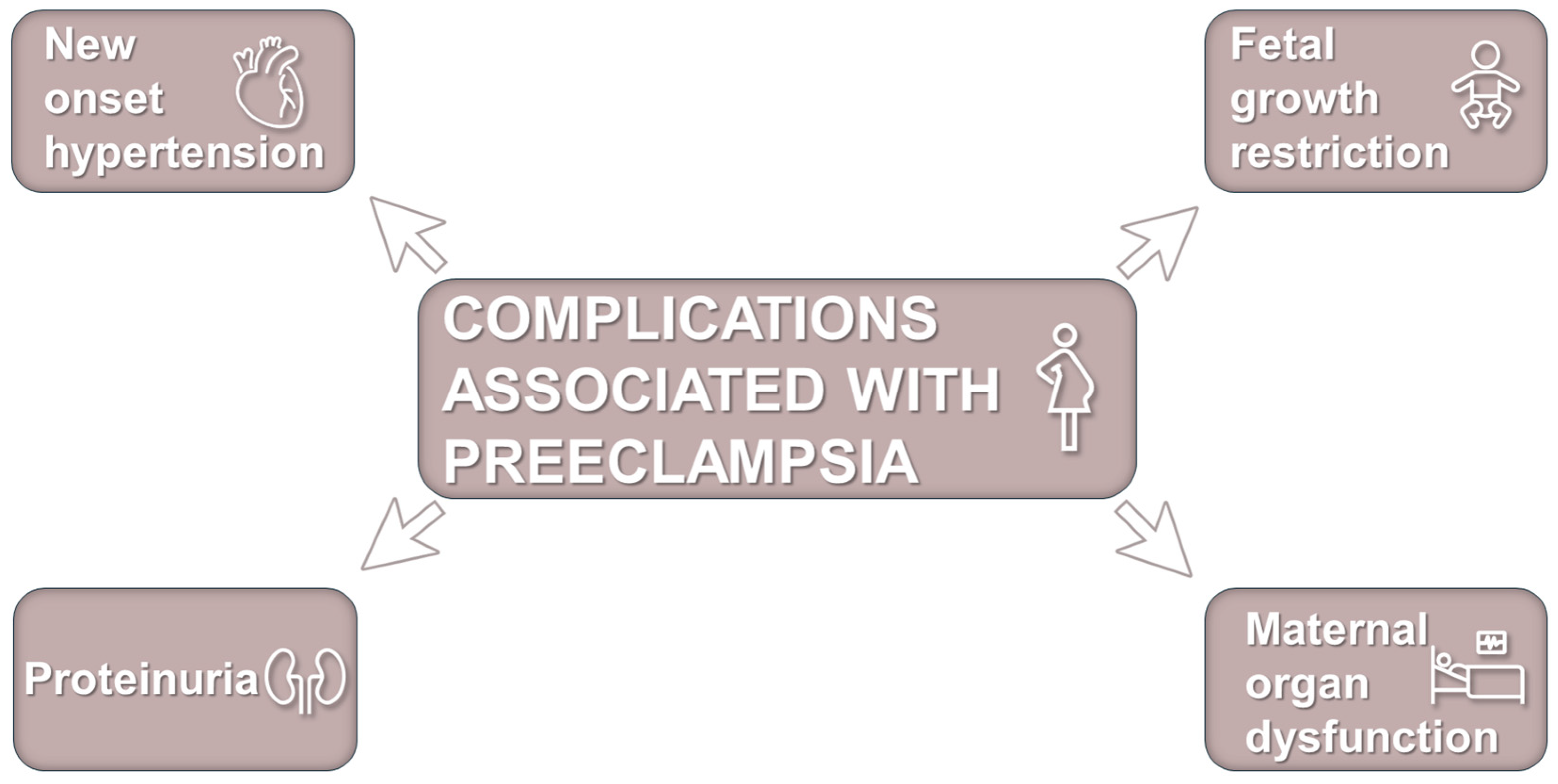 Antioxidants 14 00529 g001