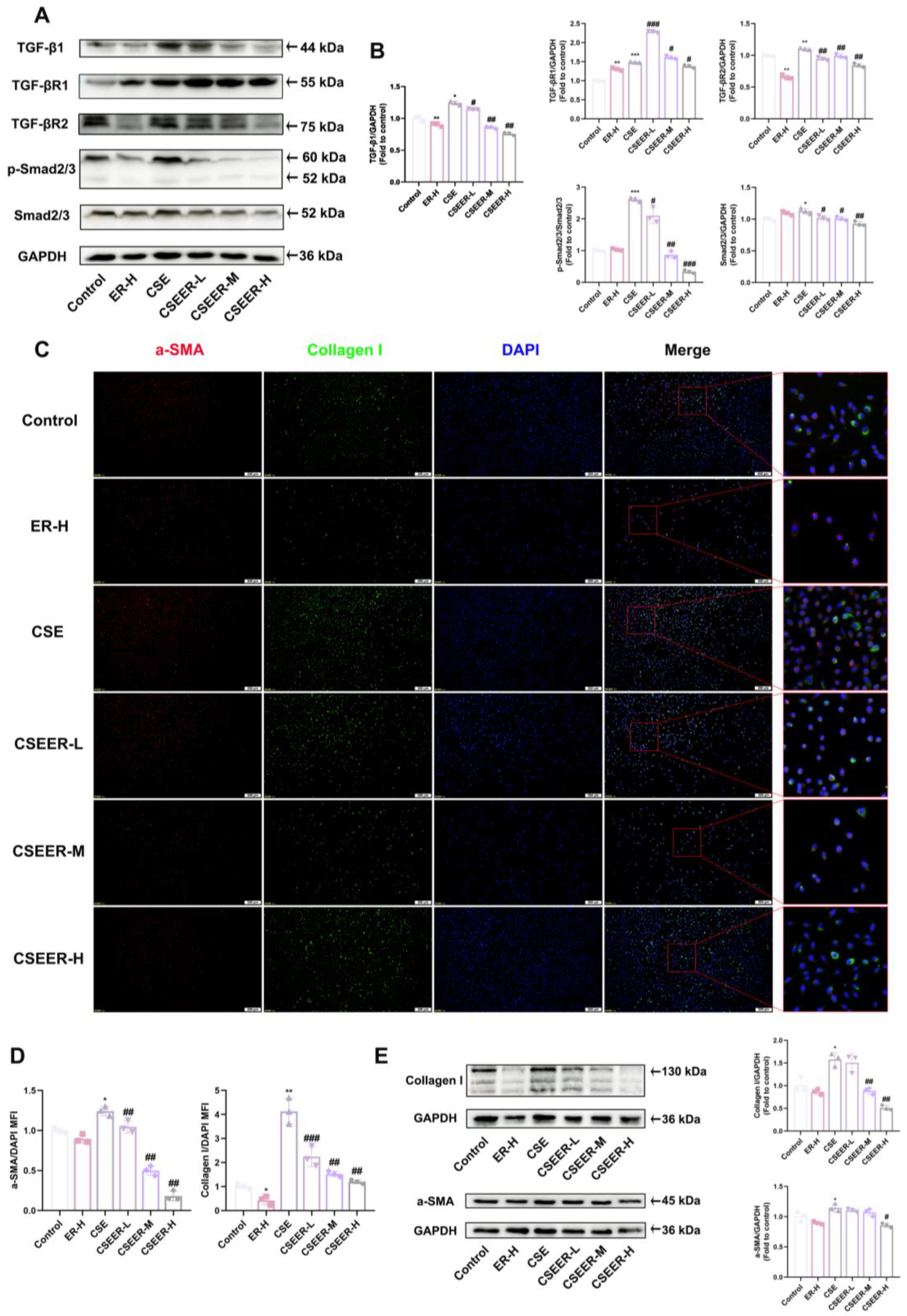 Antioxidants 14 00533 g004