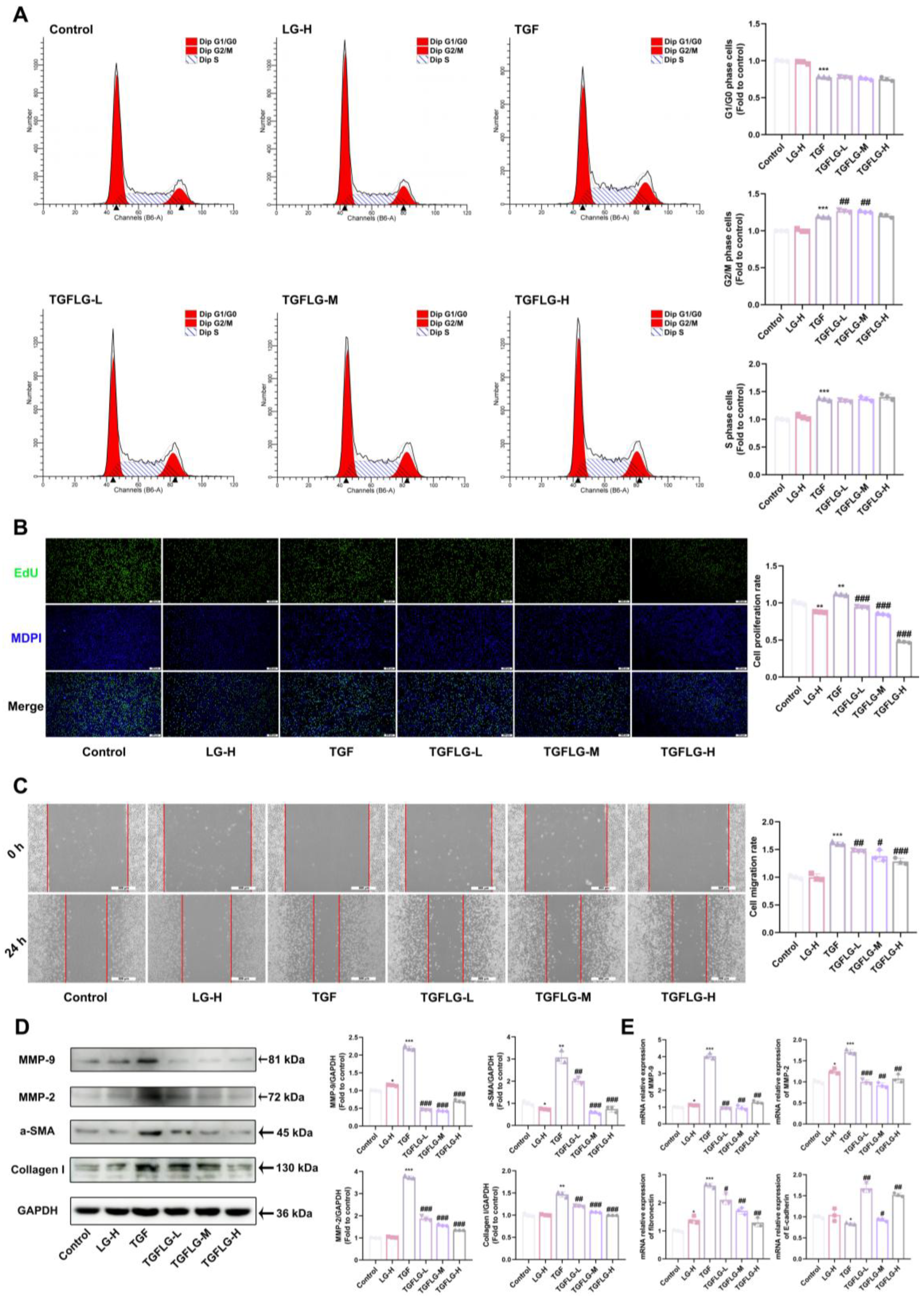 Antioxidants 14 00533 g007