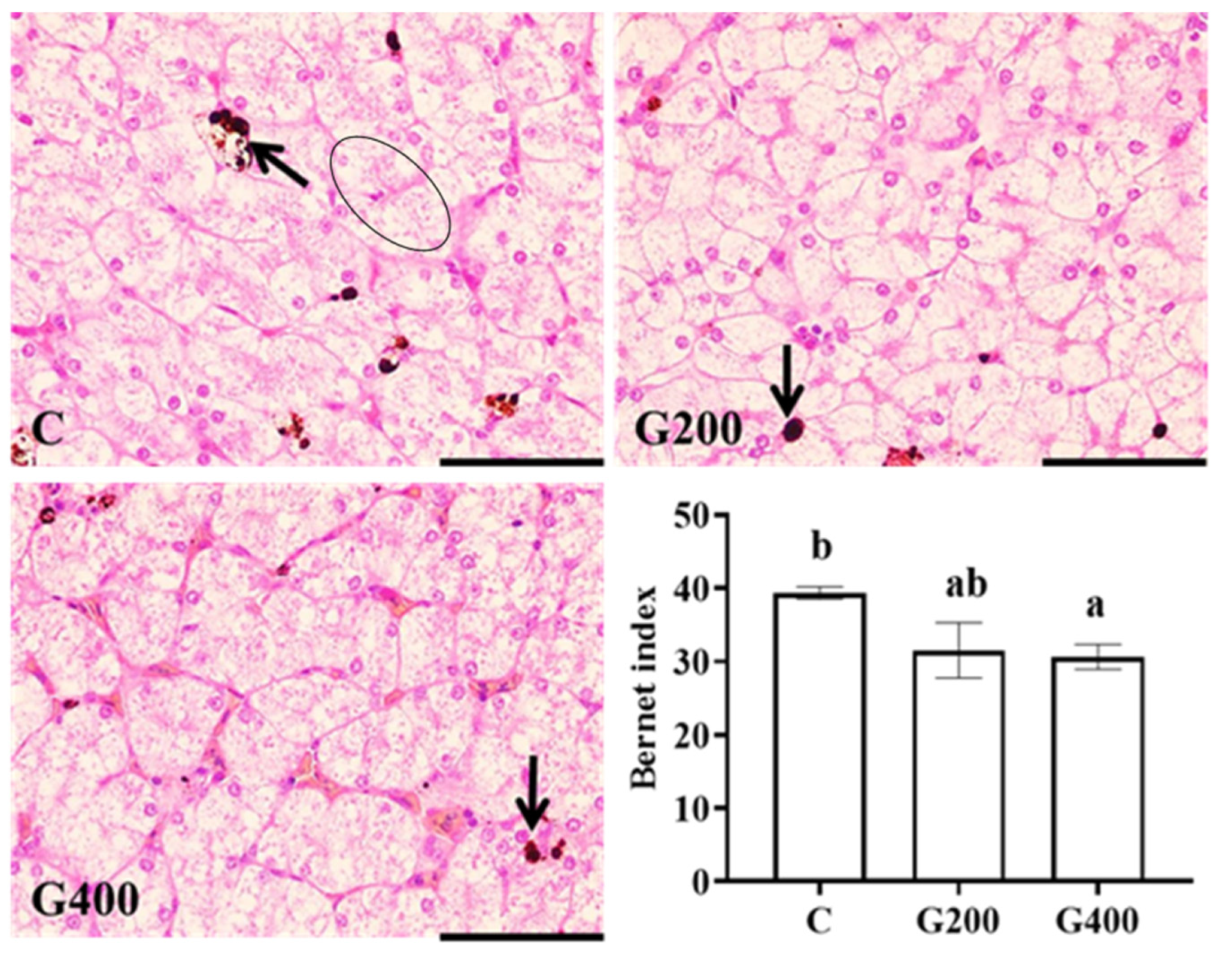 Antioxidants 14 00534 g004