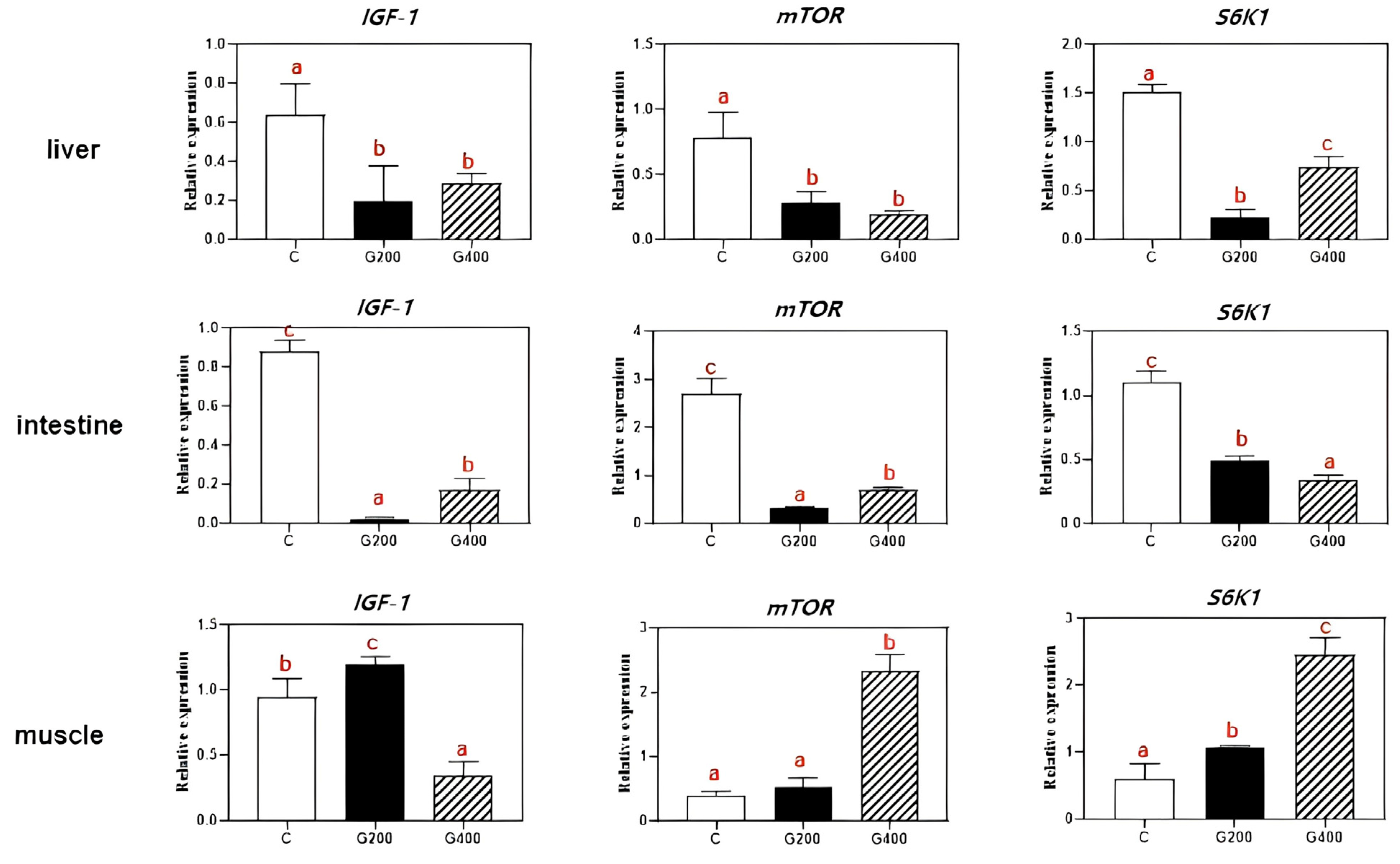 Antioxidants 14 00534 g006