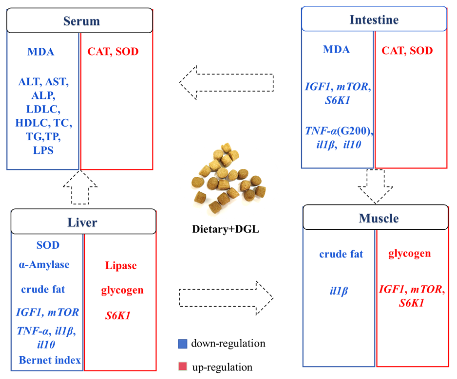 Antioxidants 14 00534 g009