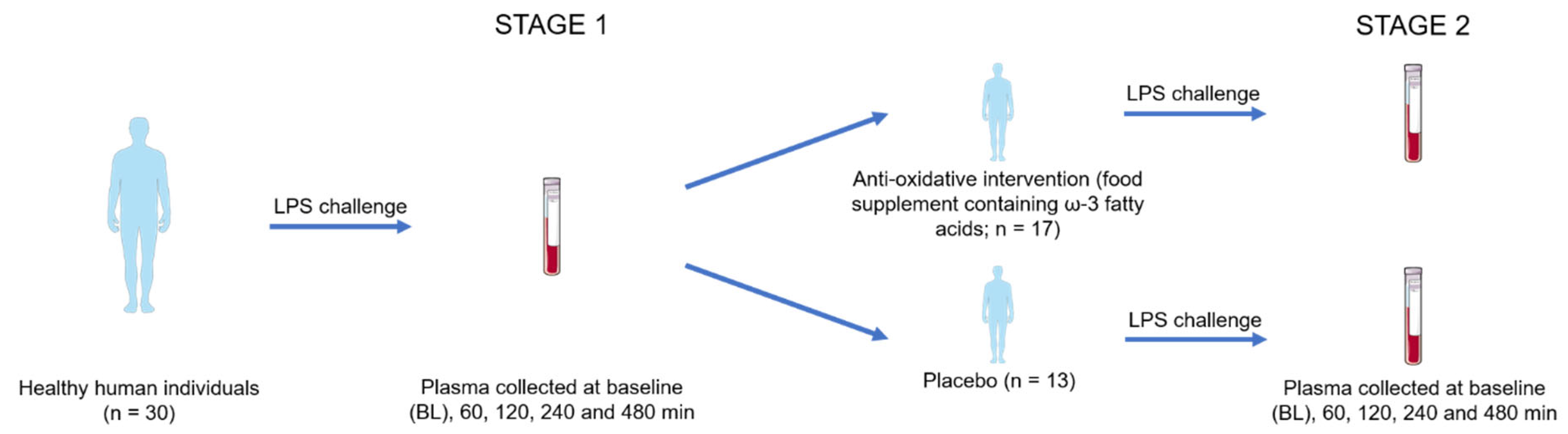 Antioxidants 14 00536 g001