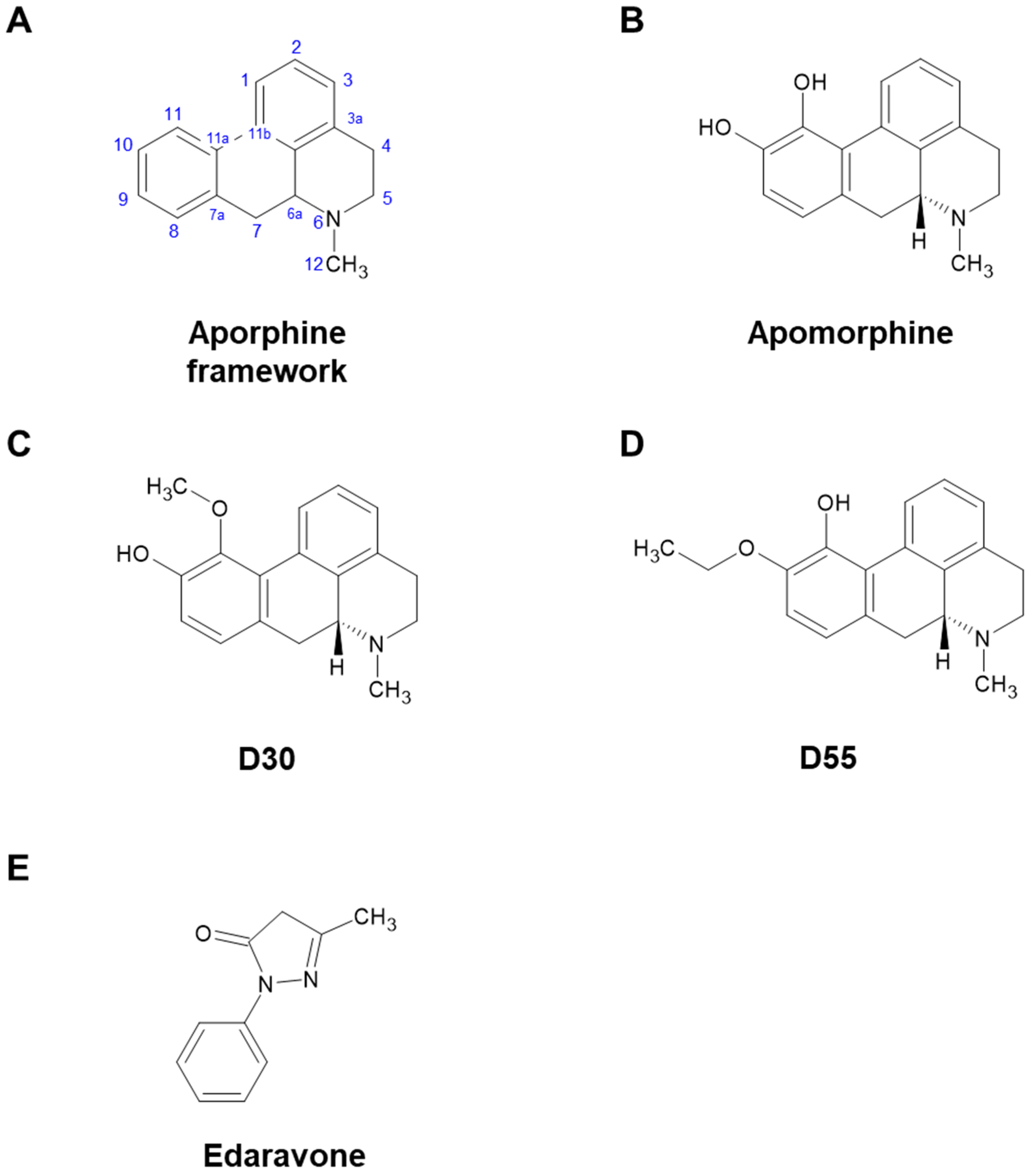 Antioxidants 14 00537 g001