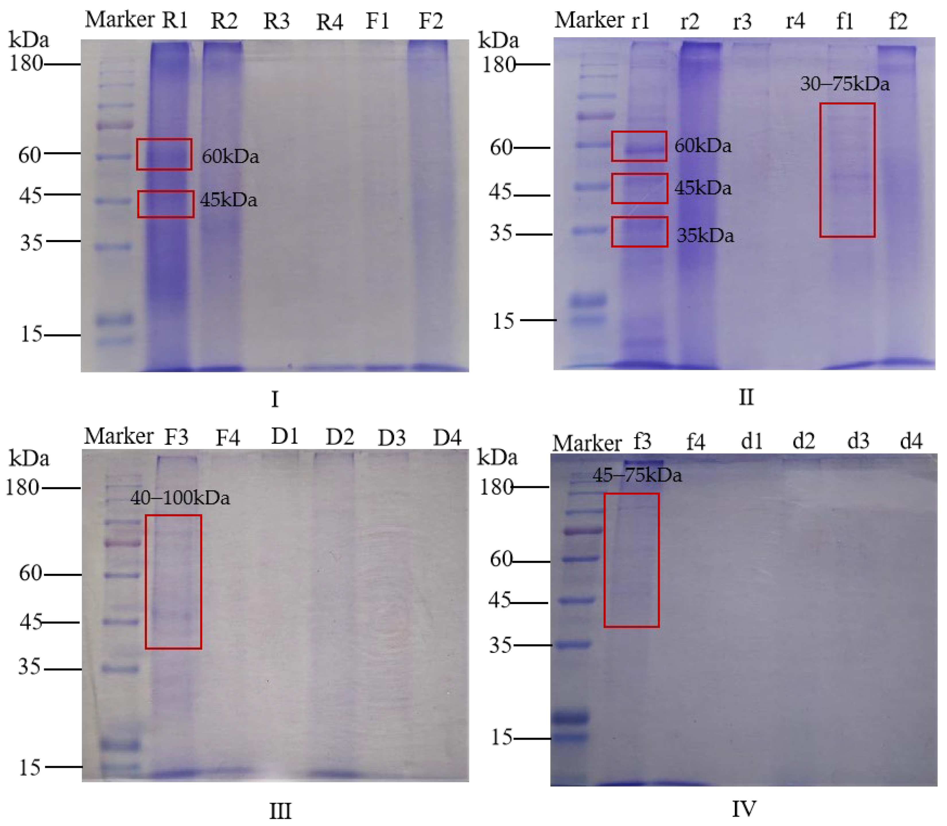 Antioxidants 14 00538 g003