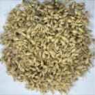 Antioxidants 14 00538 i001