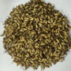 Antioxidants 14 00538 i002